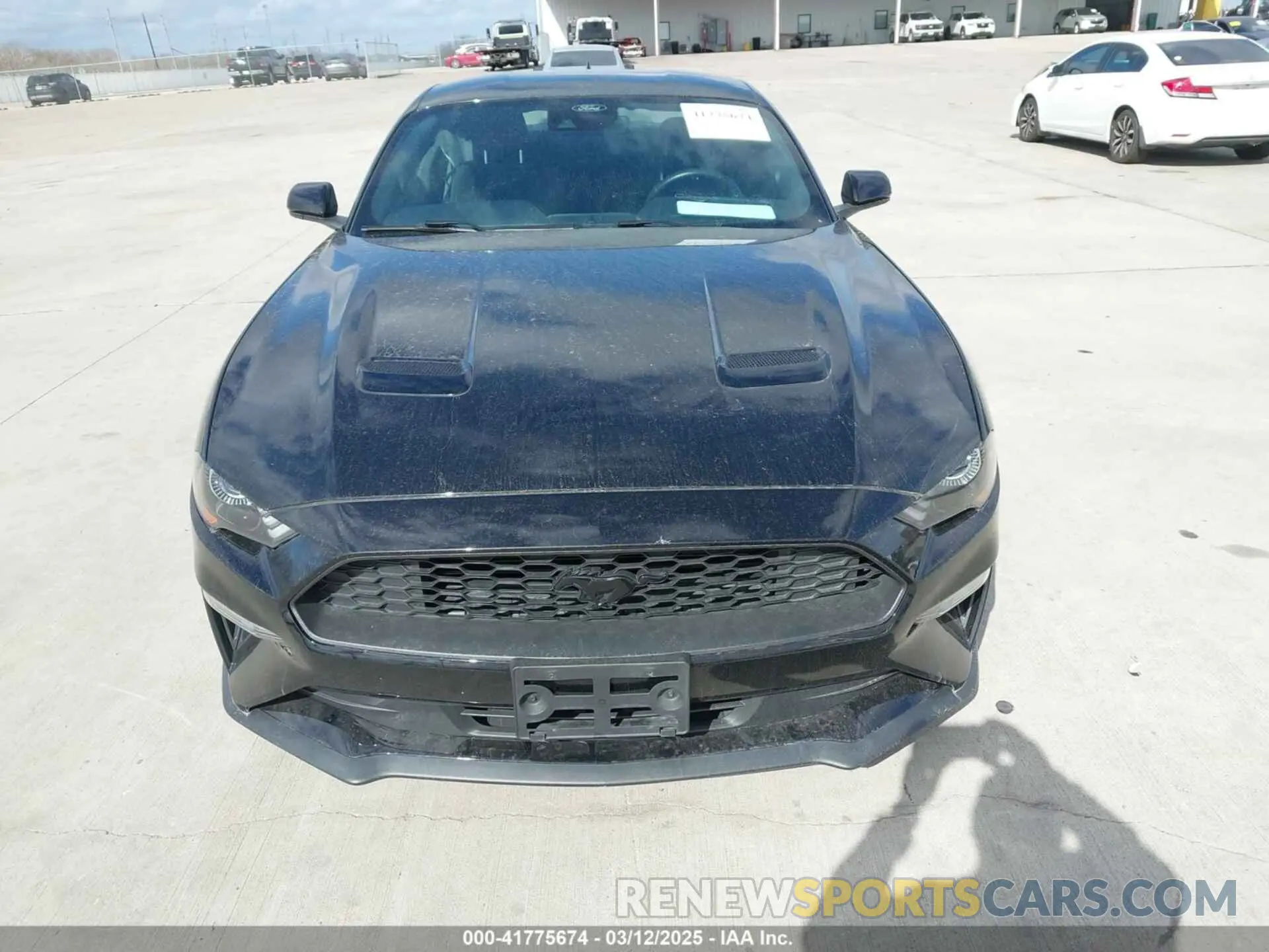 12 fotografías del automóvil dañado 1FA6P8TH2M5140071 FORD MUSTANG 2021