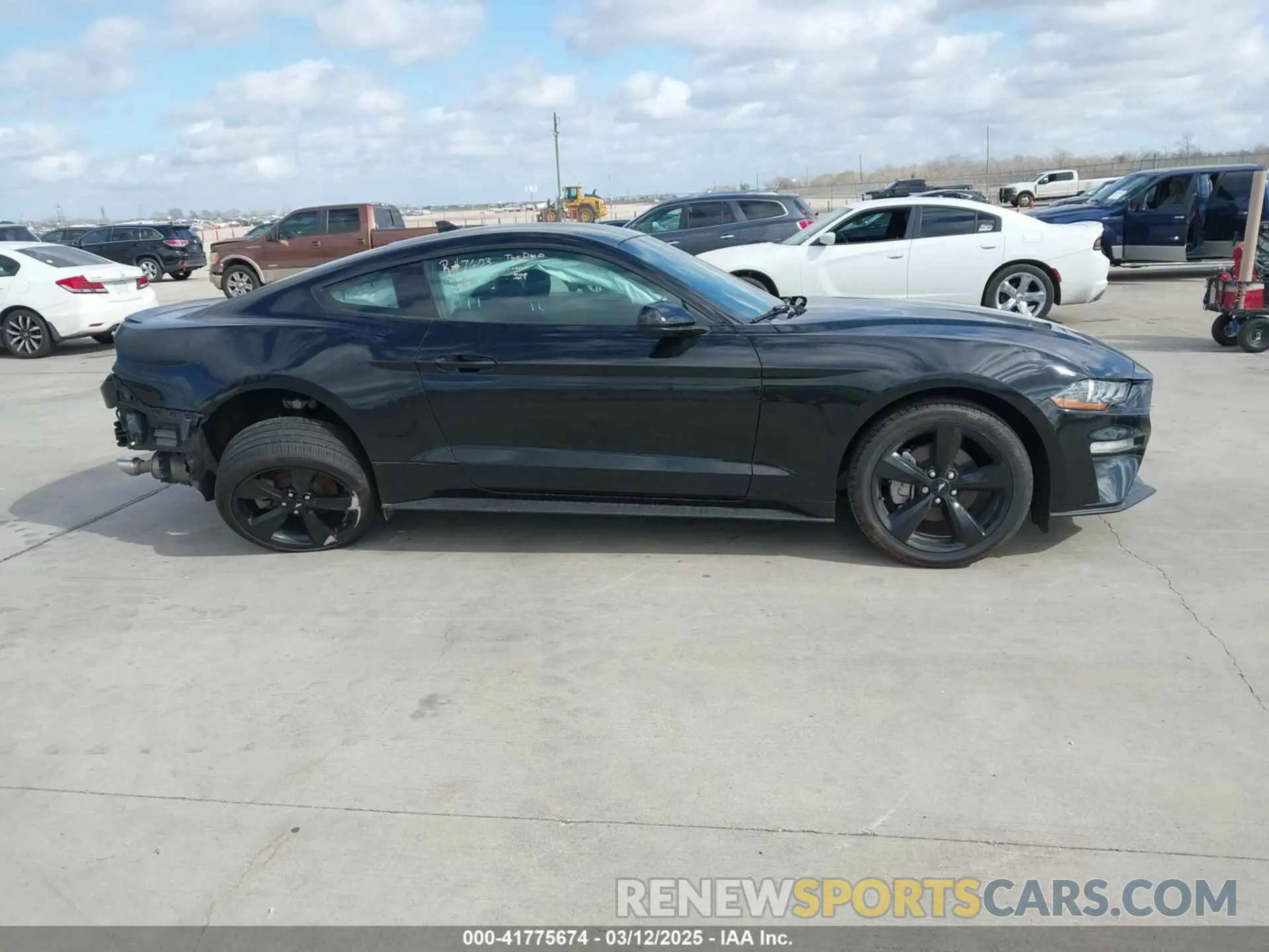 13 fotografías del automóvil dañado 1FA6P8TH2M5140071 FORD MUSTANG 2021