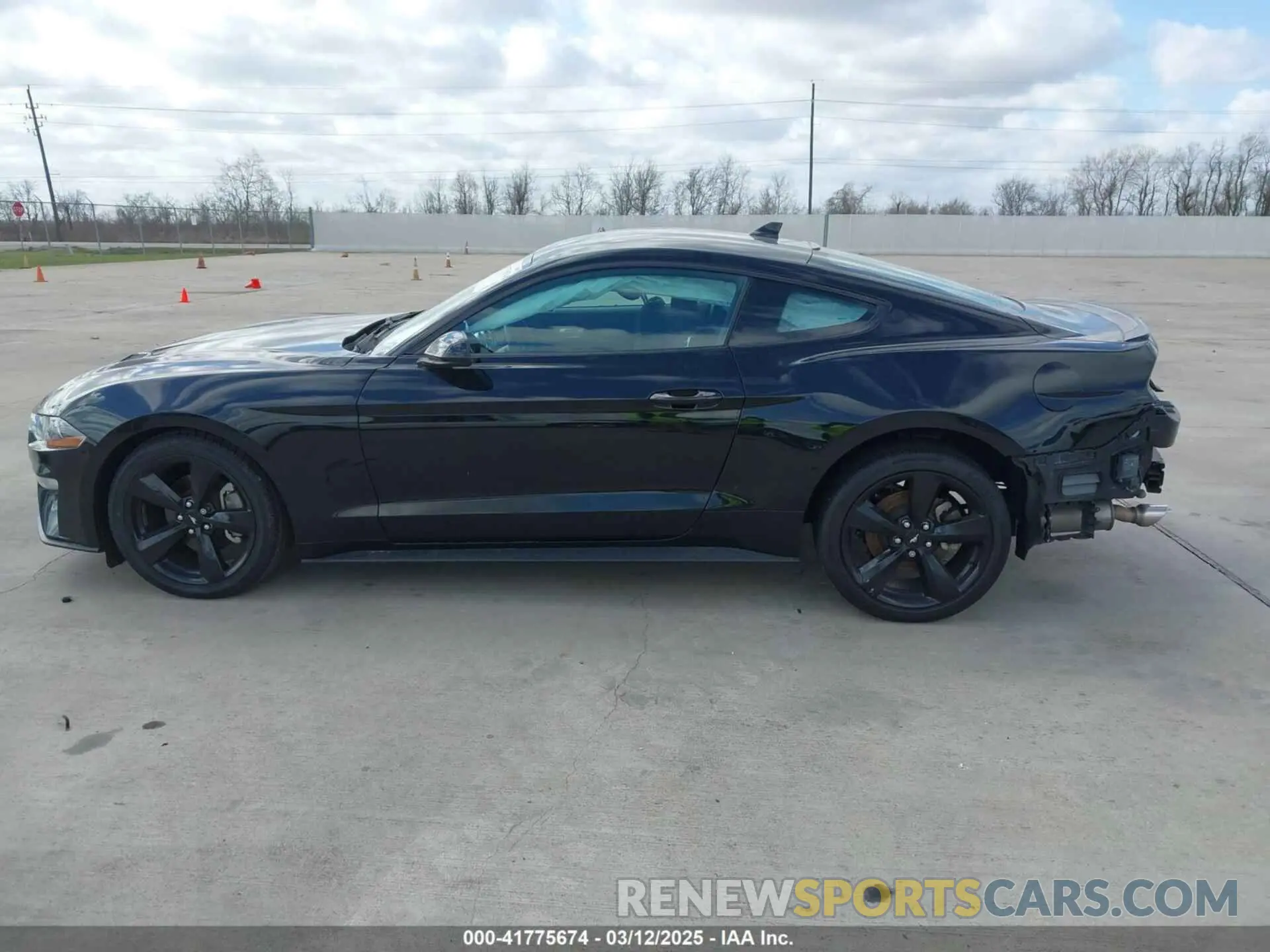 14 fotografías del automóvil dañado 1FA6P8TH2M5140071 FORD MUSTANG 2021