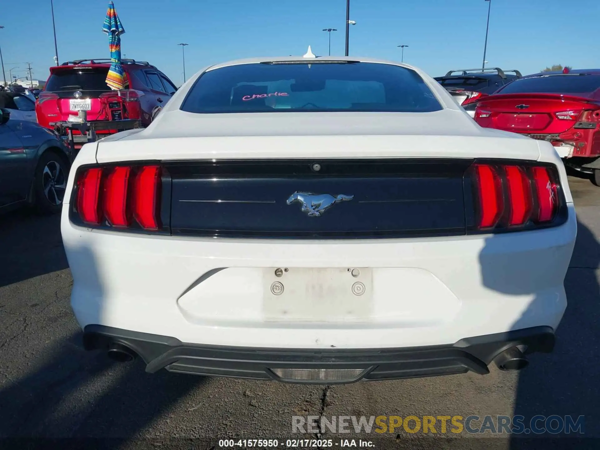 16 fotografías del automóvil dañado 1FA6P8TH5M5146799 FORD MUSTANG 2021