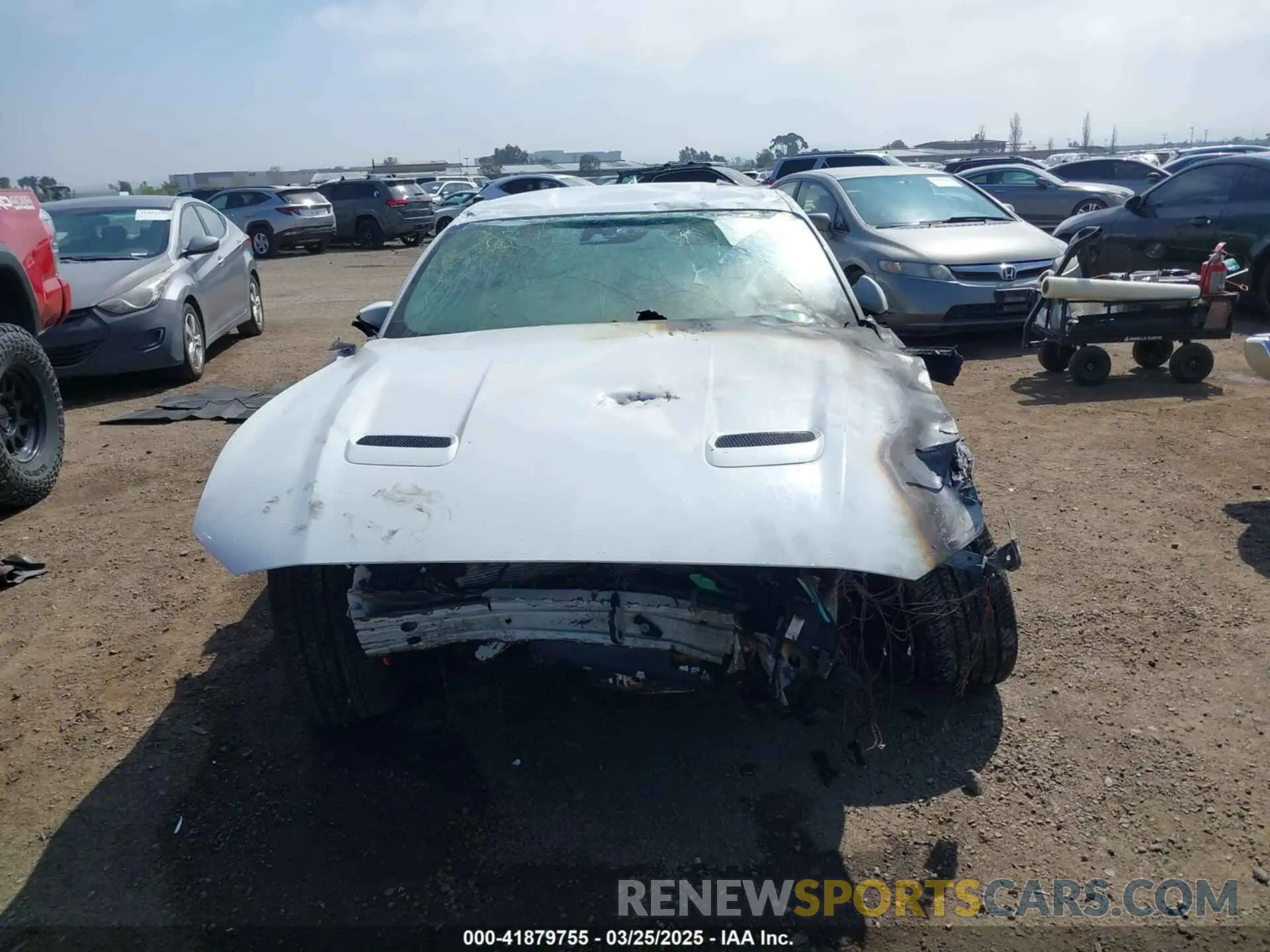 12 fotografías del automóvil dañado 1FA6P8TH6M5104559 FORD MUSTANG 2021