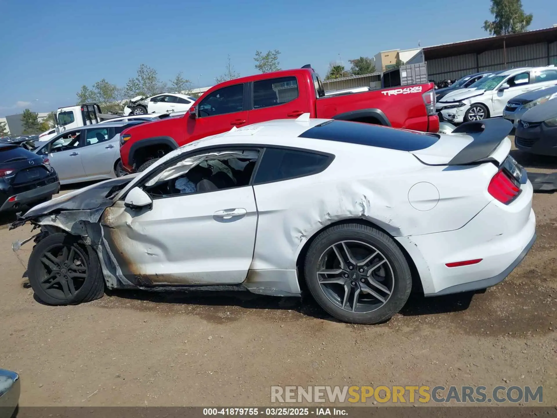 14 fotografías del automóvil dañado 1FA6P8TH6M5104559 FORD MUSTANG 2021