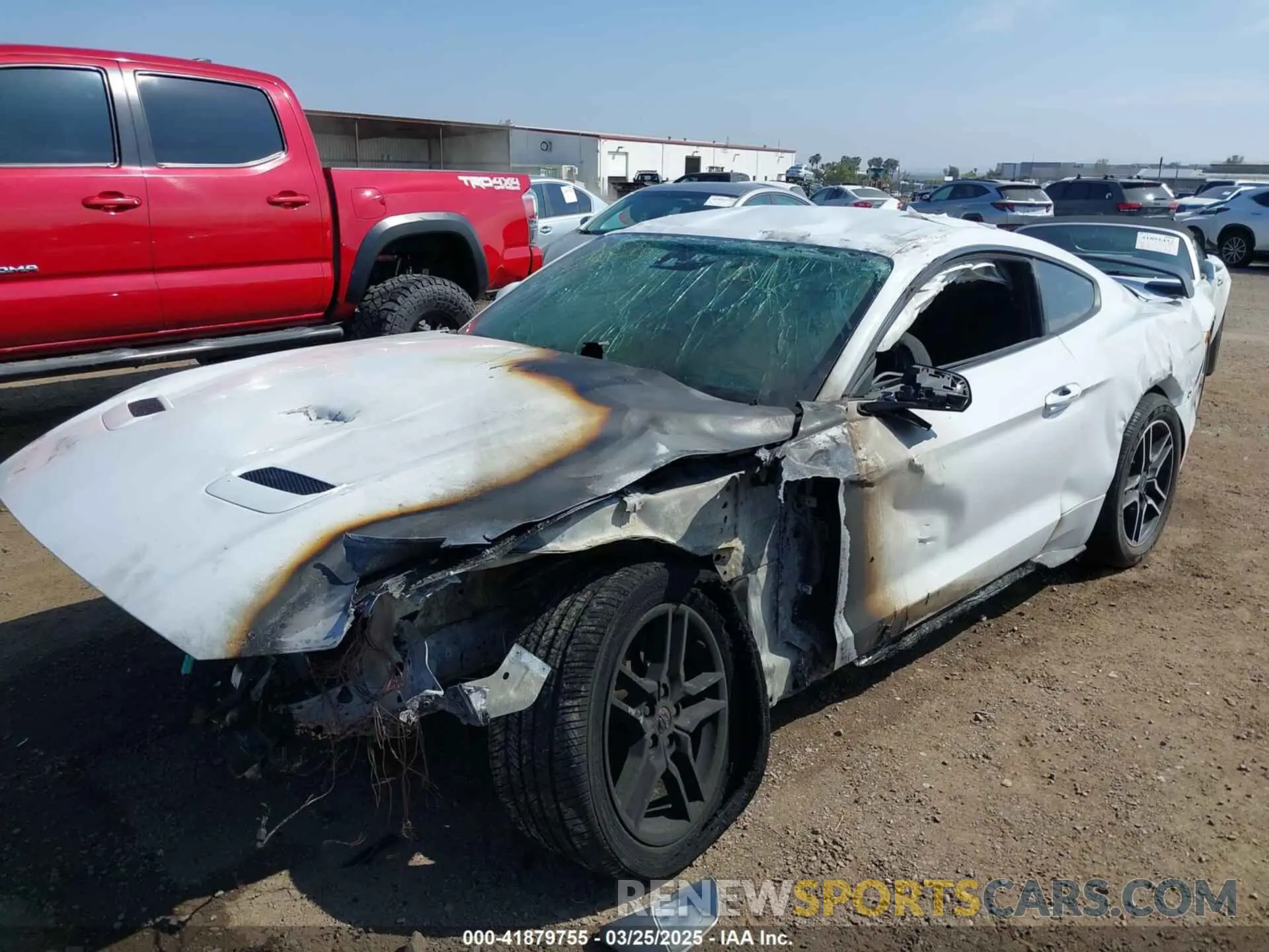 6 fotografías del automóvil dañado 1FA6P8TH6M5104559 FORD MUSTANG 2021