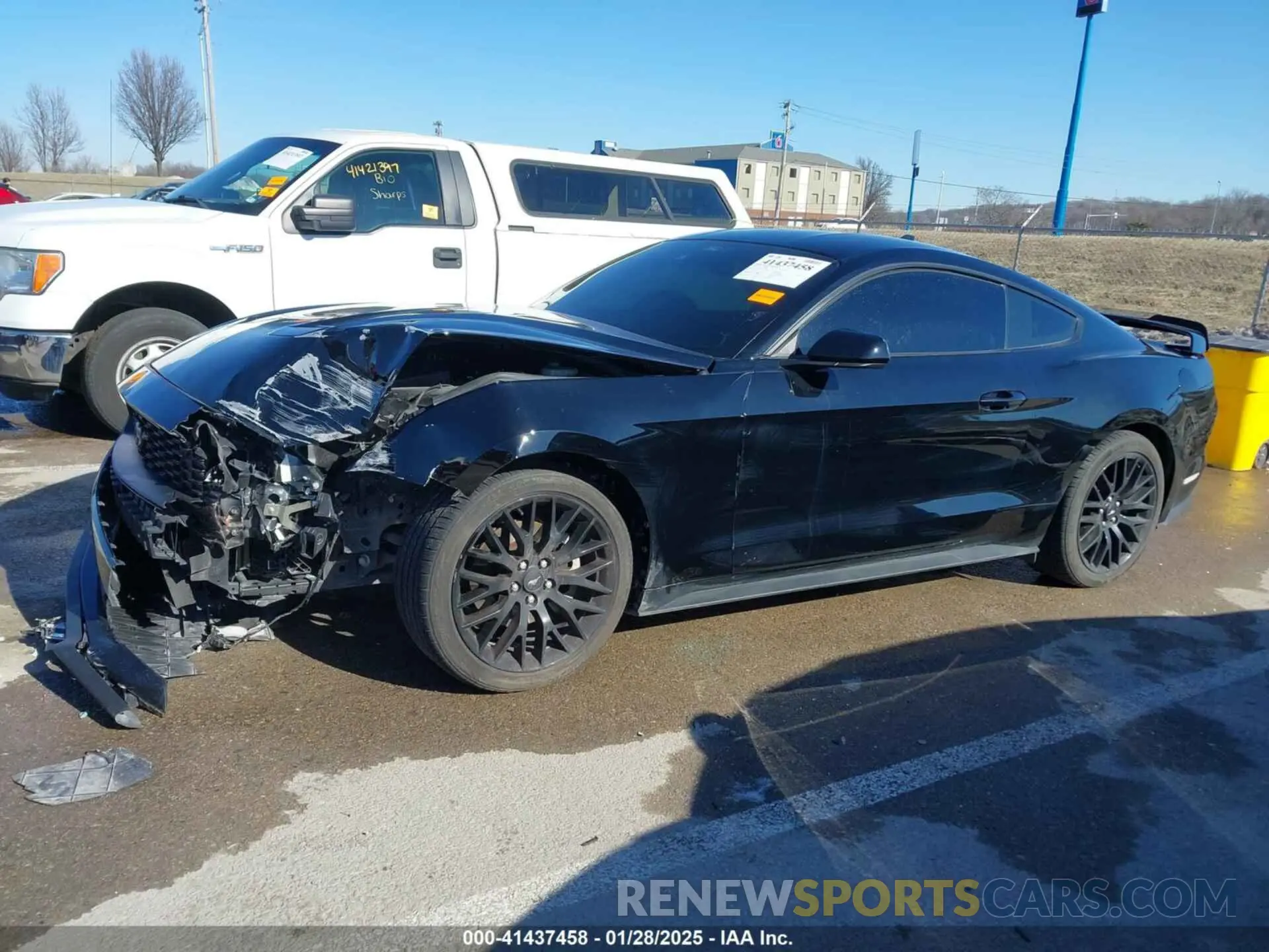 14 fotografías del automóvil dañado 1FA6P8TH8M5110685 FORD MUSTANG 2021