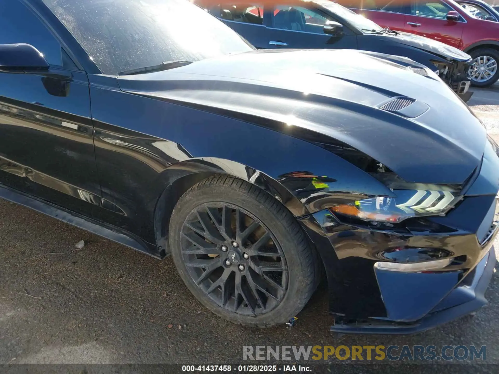17 fotografías del automóvil dañado 1FA6P8TH8M5110685 FORD MUSTANG 2021