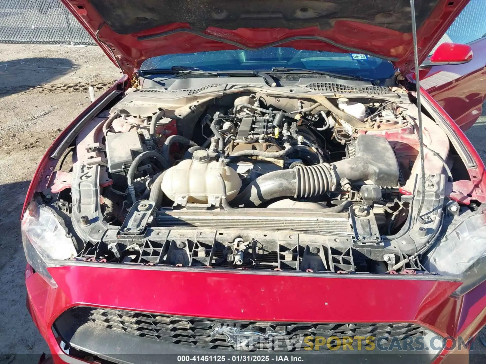 10 fotografías del automóvil dañado 1FA6P8TH8M5129026 FORD MUSTANG 2021