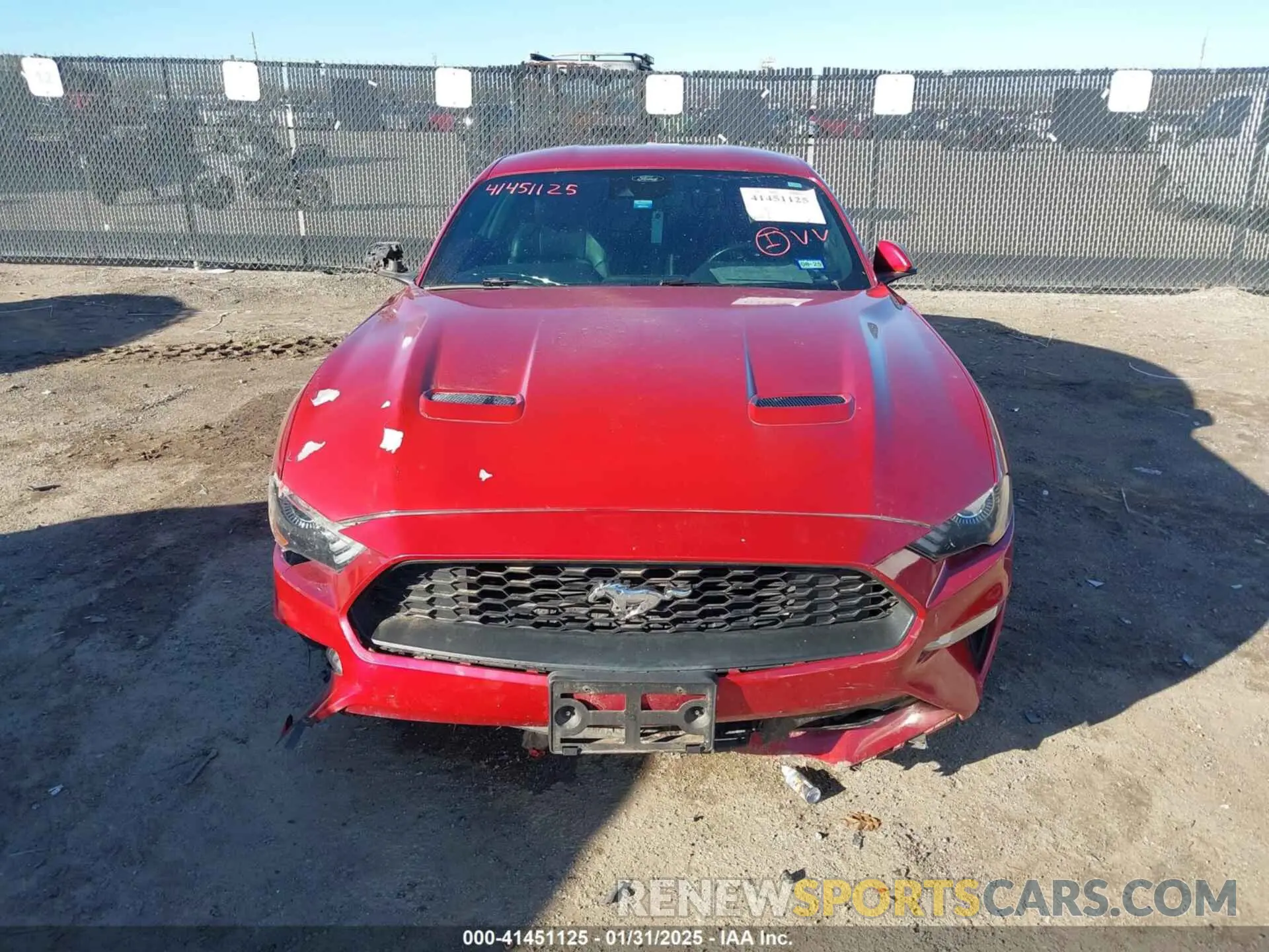 12 fotografías del automóvil dañado 1FA6P8TH8M5129026 FORD MUSTANG 2021