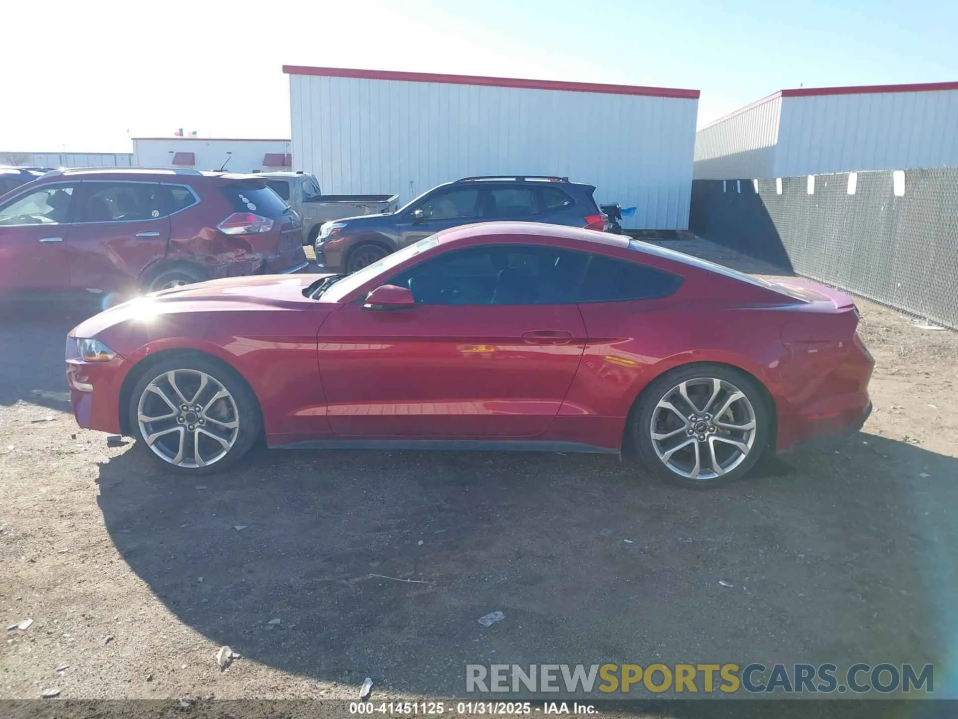 14 fotografías del automóvil dañado 1FA6P8TH8M5129026 FORD MUSTANG 2021