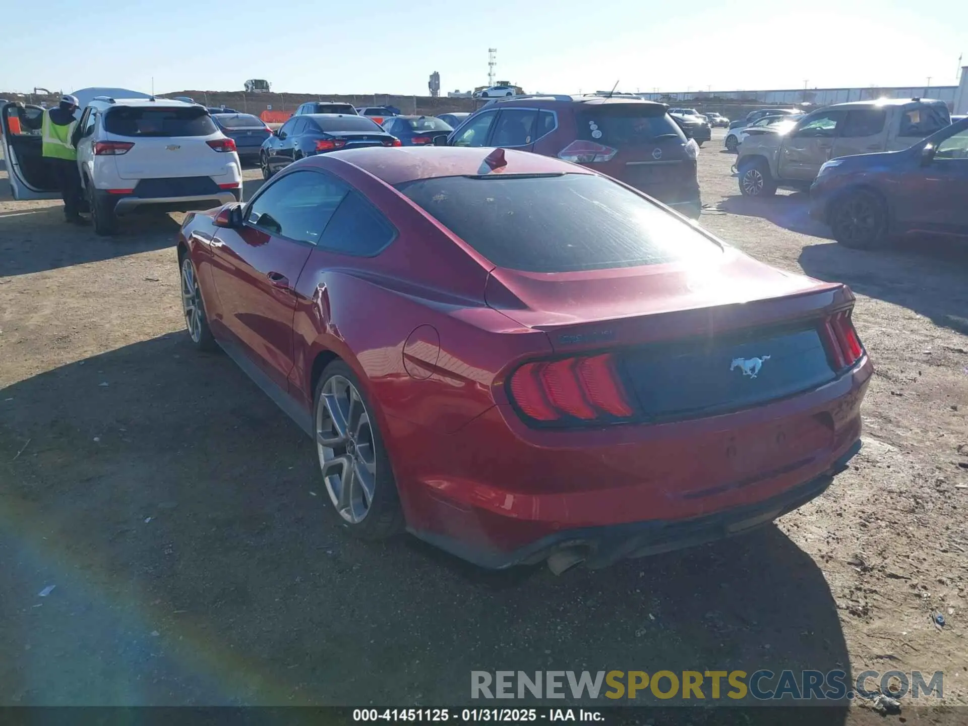 3 fotografías del automóvil dañado 1FA6P8TH8M5129026 FORD MUSTANG 2021