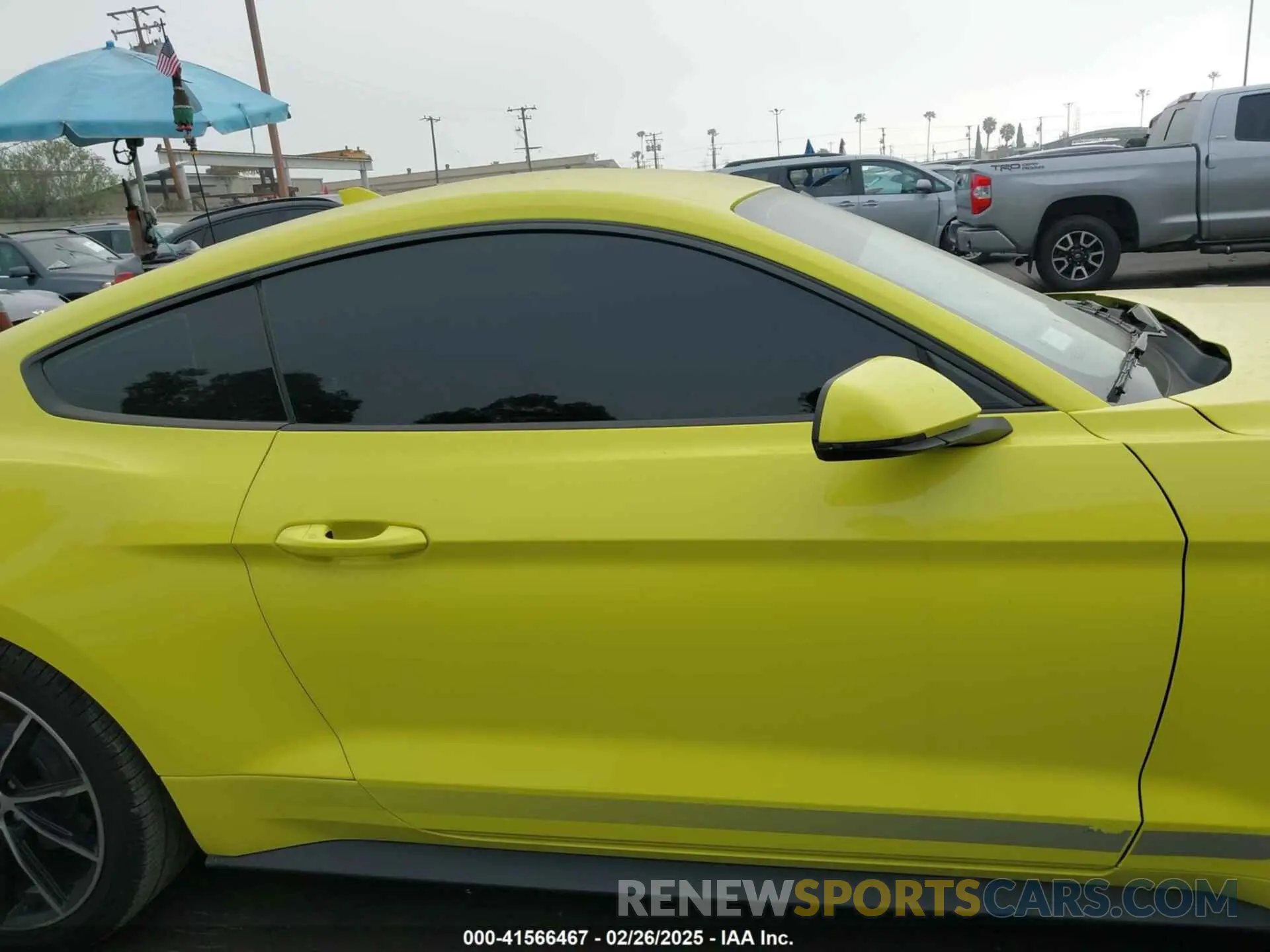 14 fotografías del automóvil dañado 1FA6P8TH8M5144464 FORD MUSTANG 2021