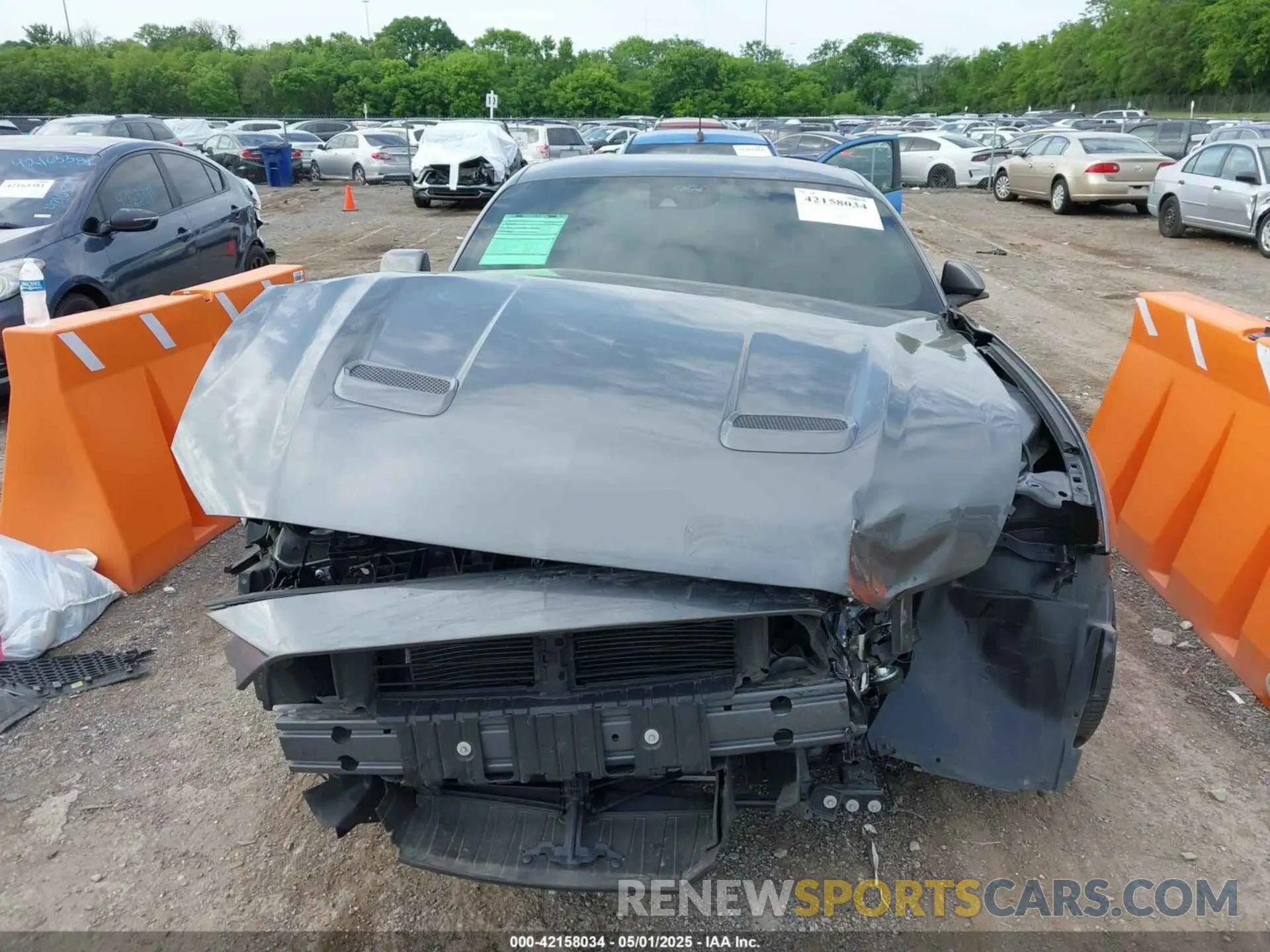 13 fotografías del automóvil dañado 1FA6P8TH9M5133781 FORD MUSTANG 2021