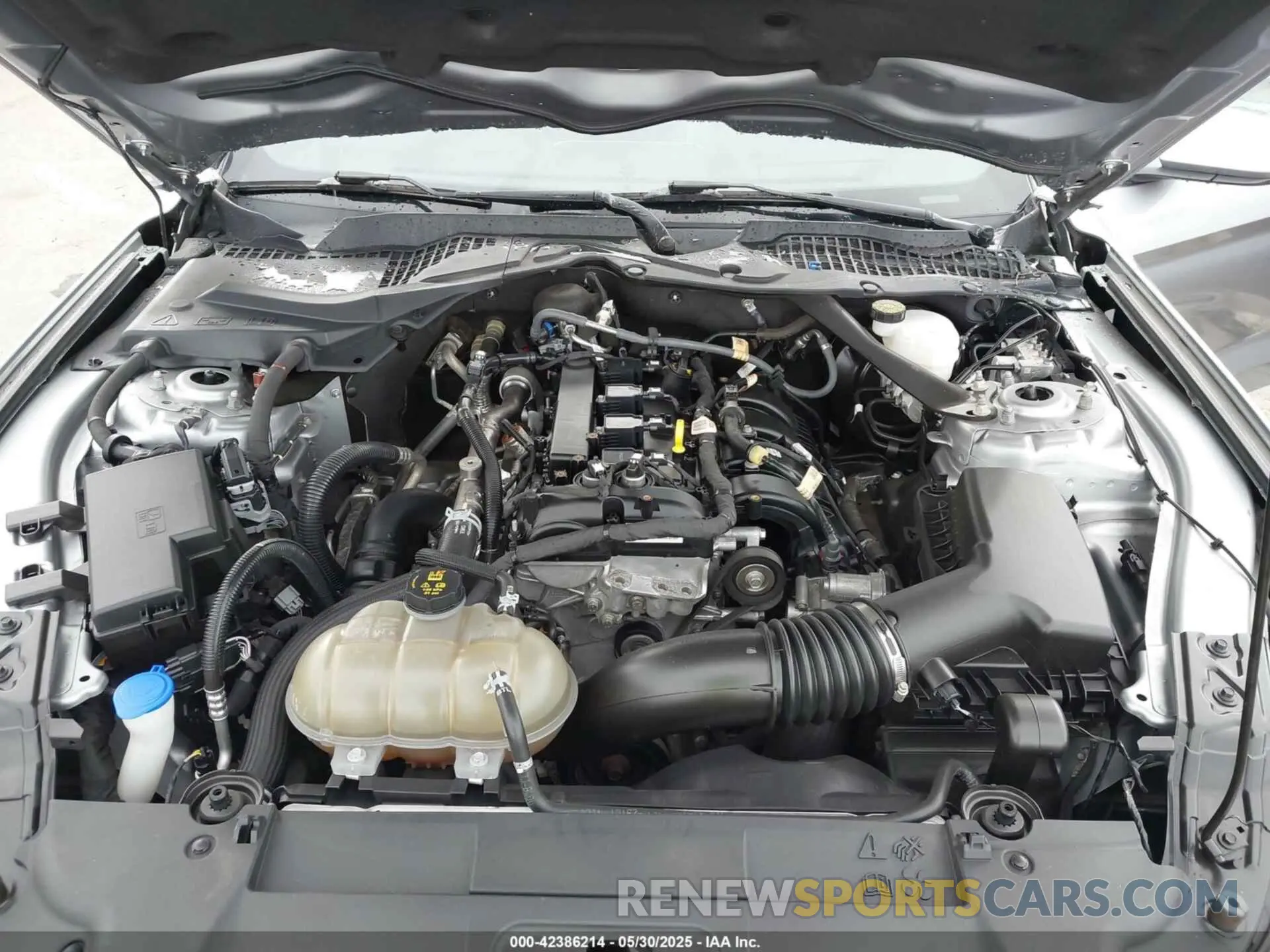 10 fotografías del automóvil dañado 1FATP8UH7M5115605 FORD MUSTANG 2021