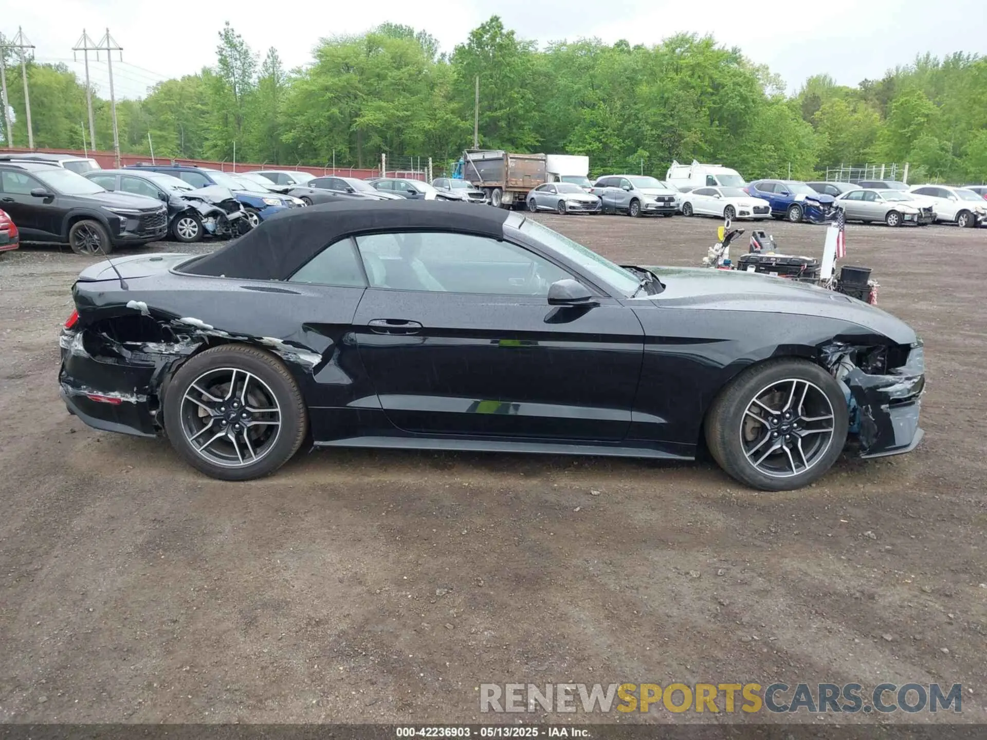13 fotografías del automóvil dañado 1FATP8UH7M5122537 FORD MUSTANG 2021