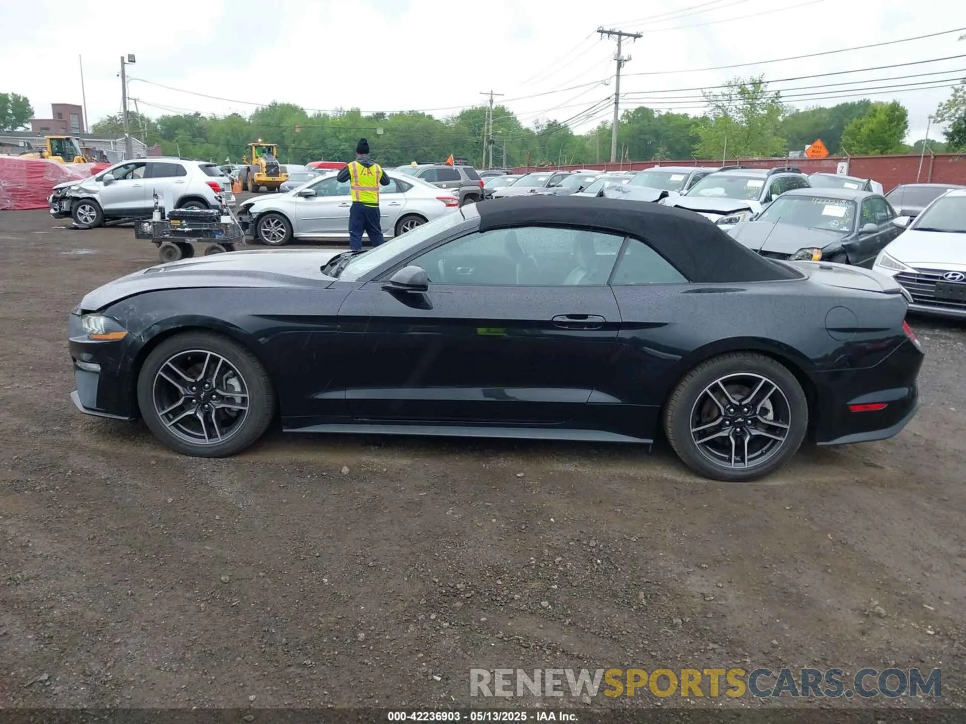 14 fotografías del automóvil dañado 1FATP8UH7M5122537 FORD MUSTANG 2021