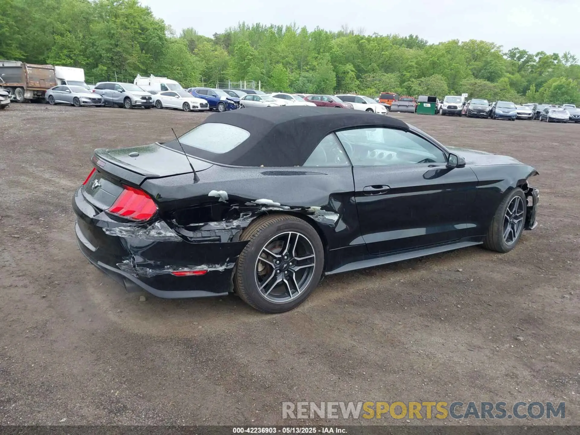 17 fotografías del automóvil dañado 1FATP8UH7M5122537 FORD MUSTANG 2021