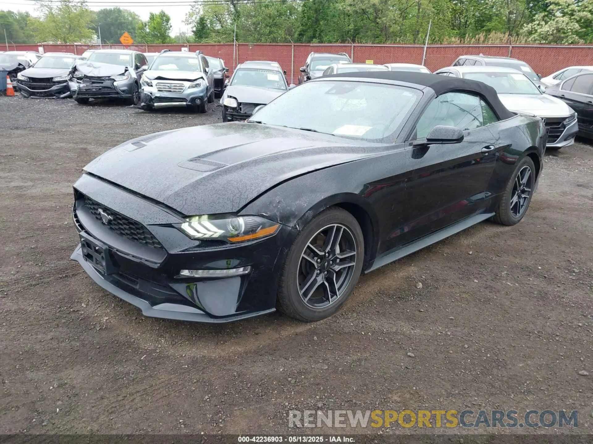 2 fotografías del automóvil dañado 1FATP8UH7M5122537 FORD MUSTANG 2021