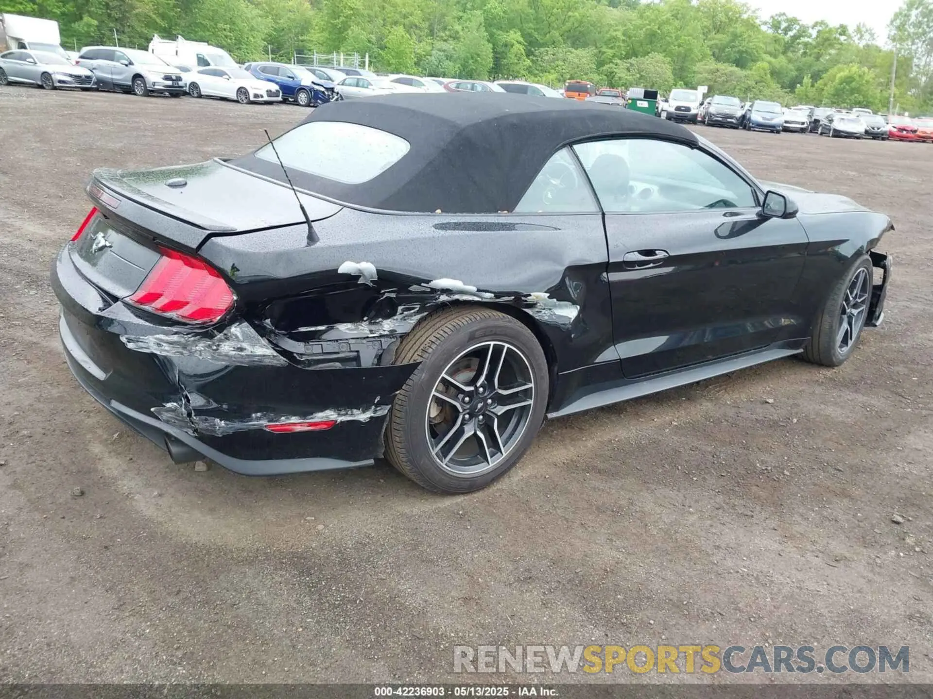 4 fotografías del automóvil dañado 1FATP8UH7M5122537 FORD MUSTANG 2021