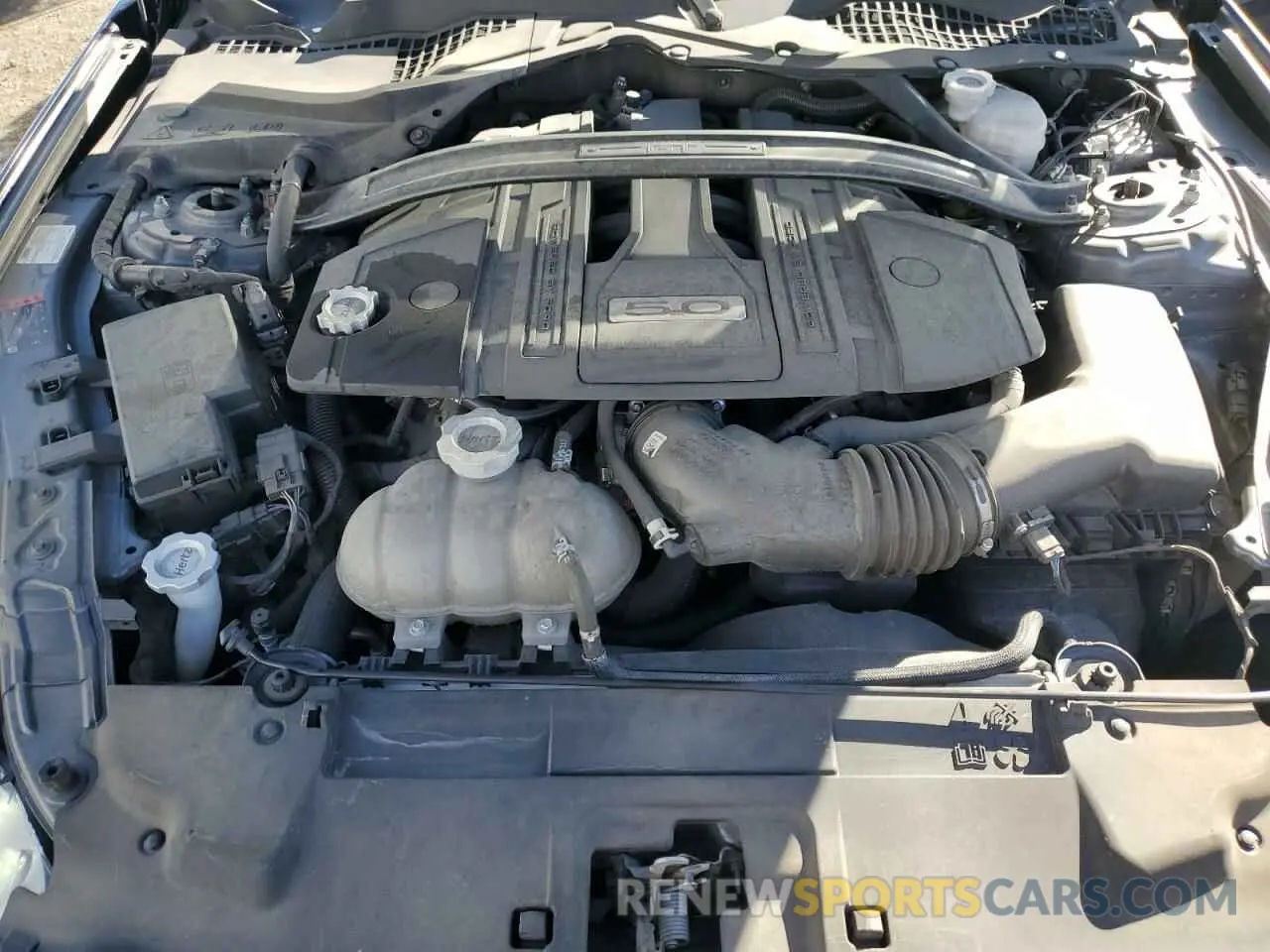 11 fotografías del automóvil dañado 1FA6P8CF0N5117789 FORD MUSTANG 2022