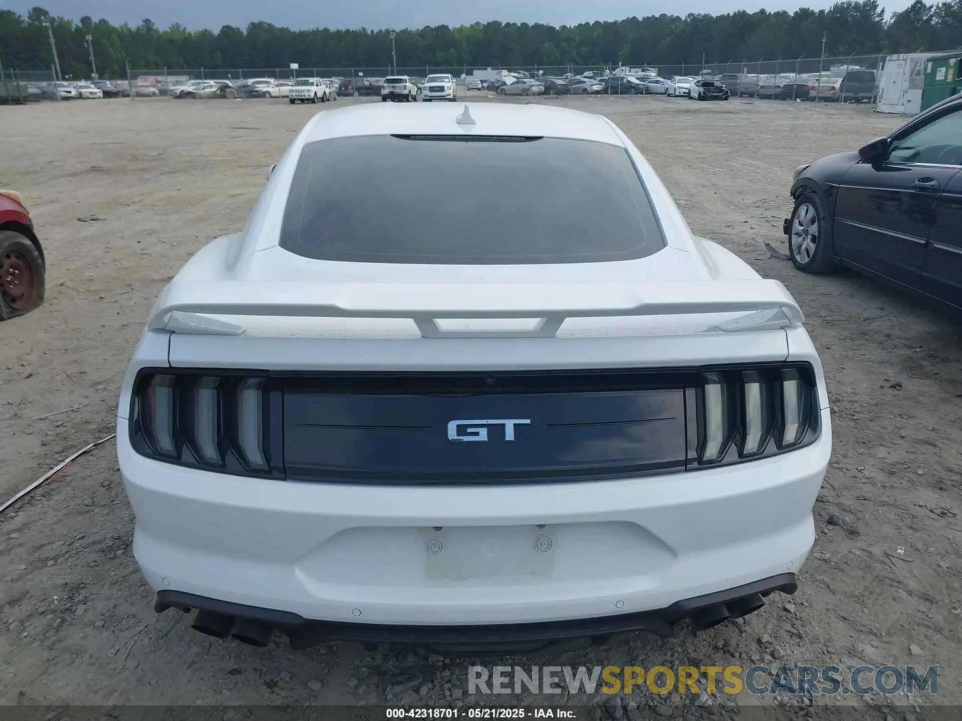 16 fotografías del automóvil dañado 1FA6P8CF1N5120958 FORD MUSTANG 2022