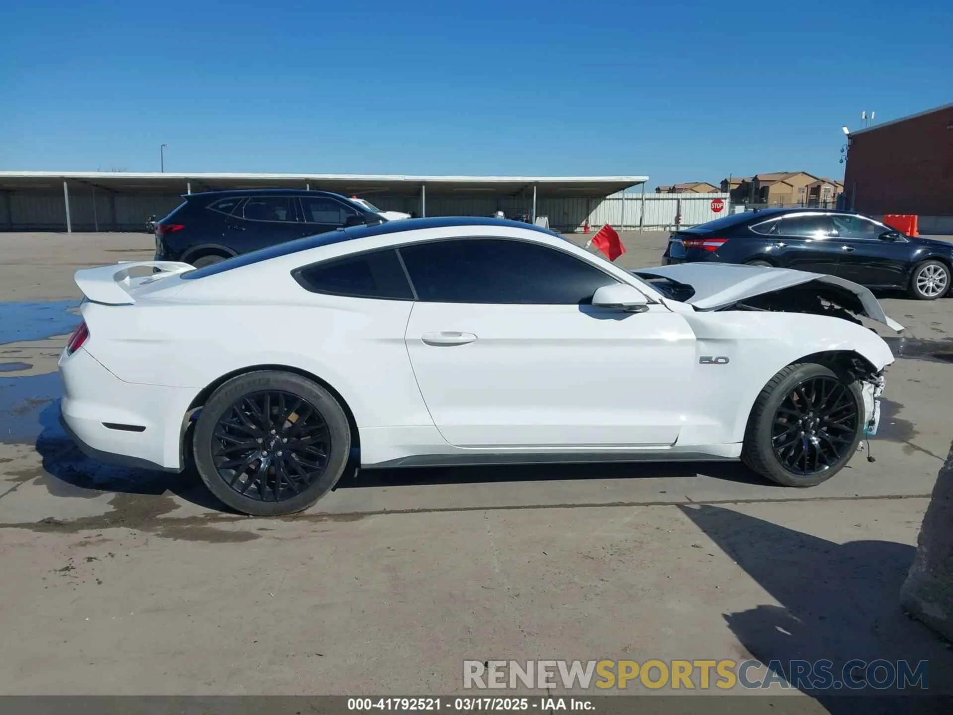 13 fotografías del automóvil dañado 1FA6P8CF1N5121673 FORD MUSTANG 2022