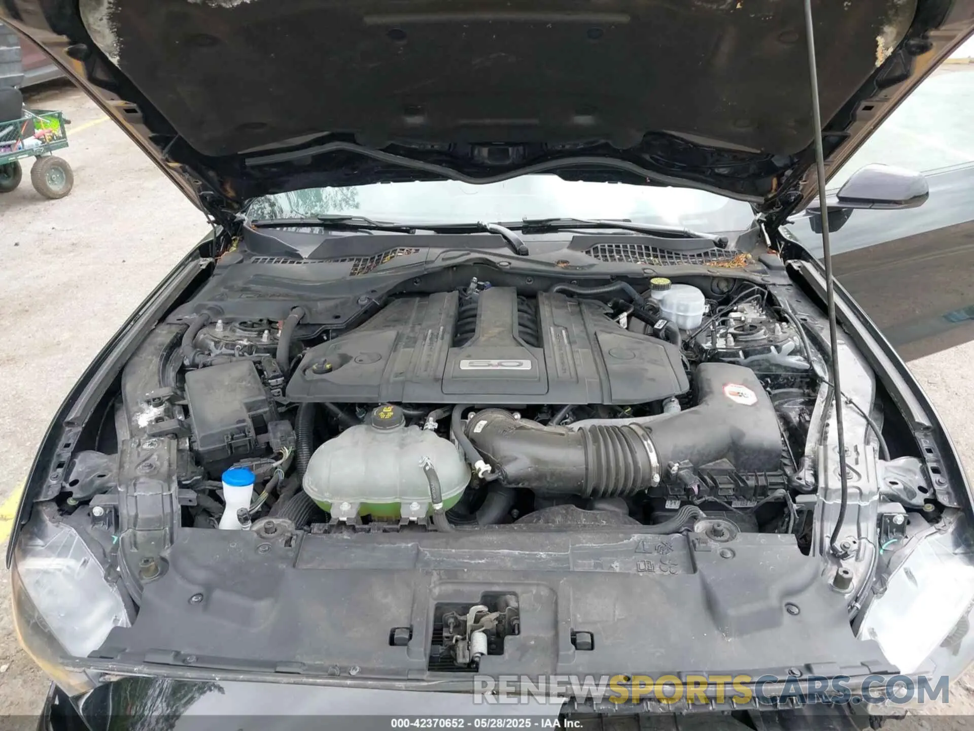 10 fotografías del automóvil dañado 1FA6P8CF5N5145653 FORD MUSTANG 2022