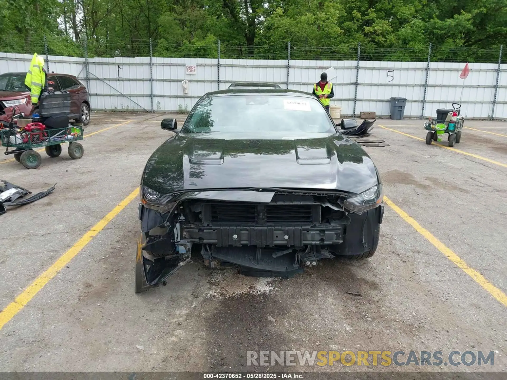 12 fotografías del automóvil dañado 1FA6P8CF5N5145653 FORD MUSTANG 2022
