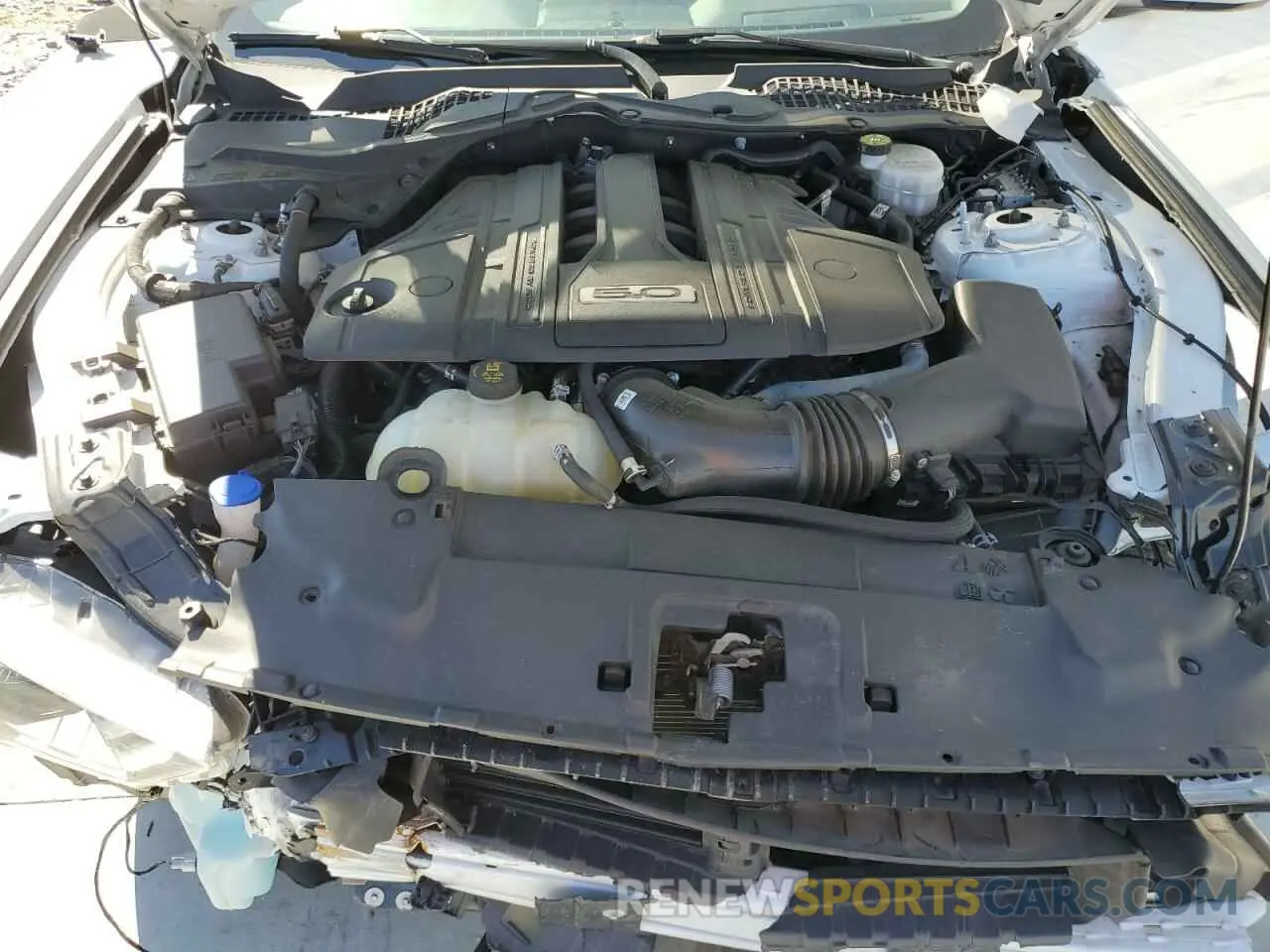 11 fotografías del automóvil dañado 1FA6P8CF8N5141337 FORD MUSTANG 2022