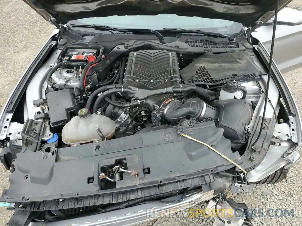 11 fotografías del automóvil dañado 1FA6P8CF9N5100621 FORD MUSTANG 2022