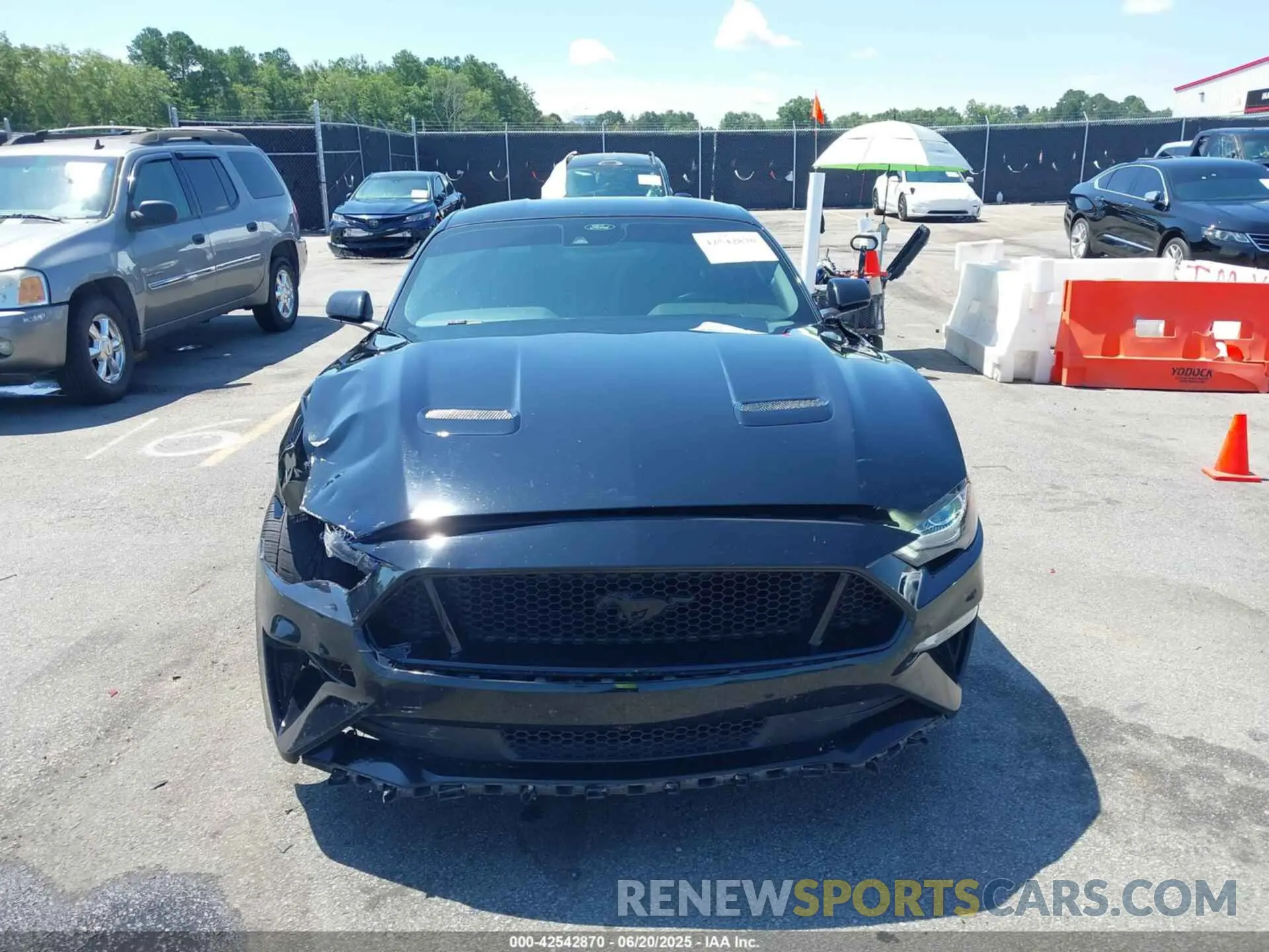 12 fotografías del automóvil dañado 1FA6P8CF9N5131979 FORD MUSTANG 2022