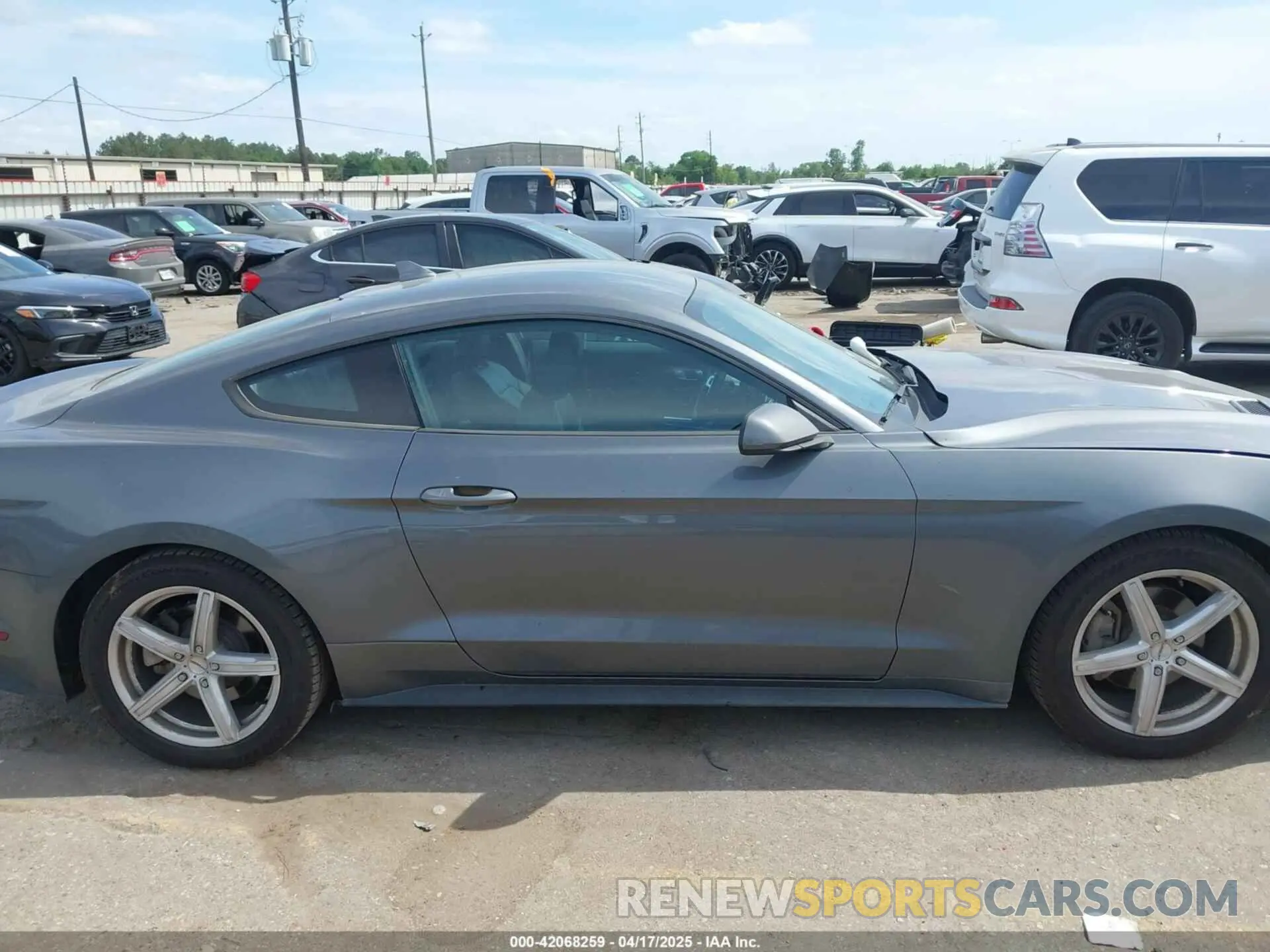 13 fotografías del automóvil dañado 1FA6P8TH2N5104155 FORD MUSTANG 2022