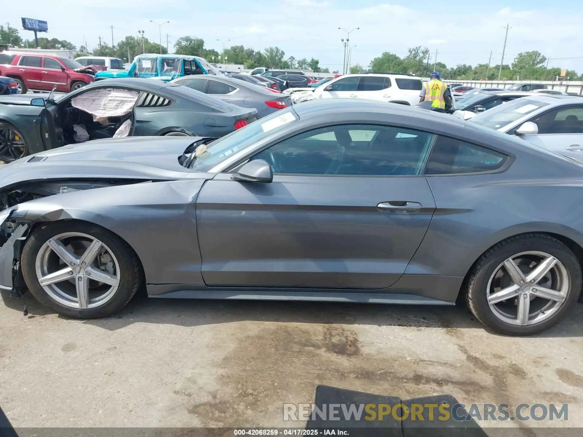 14 fotografías del automóvil dañado 1FA6P8TH2N5104155 FORD MUSTANG 2022