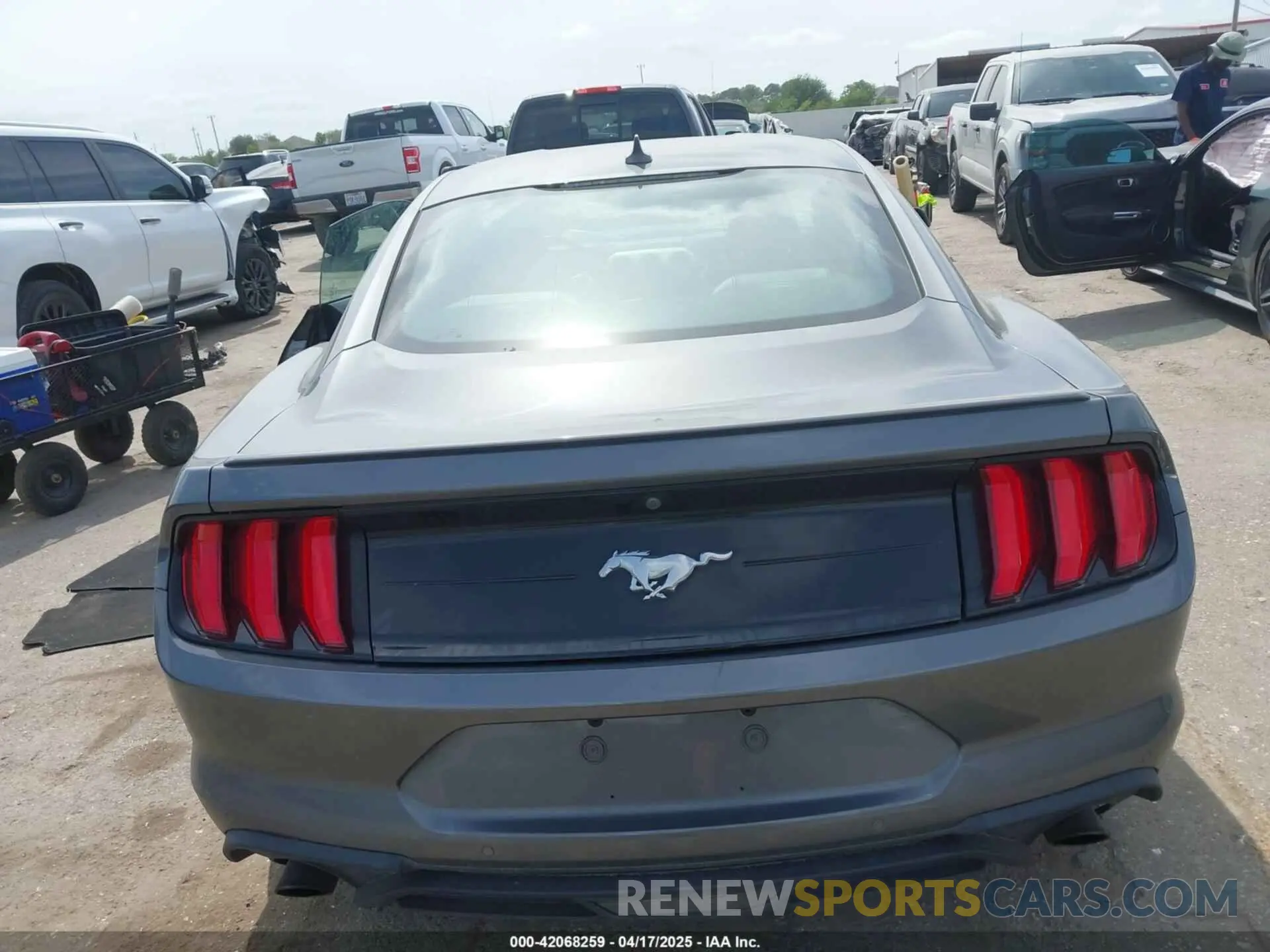 16 fotografías del automóvil dañado 1FA6P8TH2N5104155 FORD MUSTANG 2022