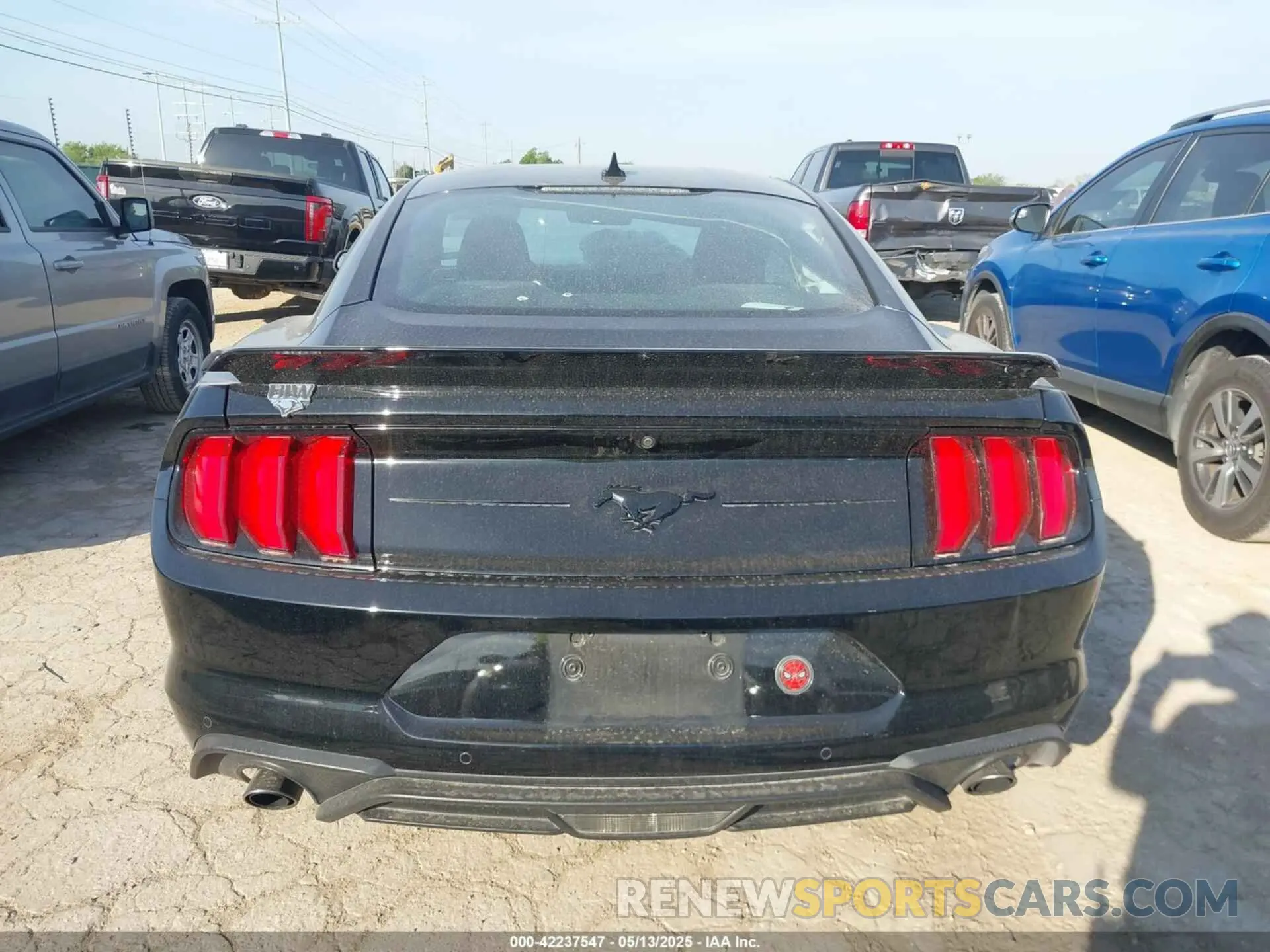 16 fotografías del automóvil dañado 1FA6P8TH3N5122423 FORD MUSTANG 2022
