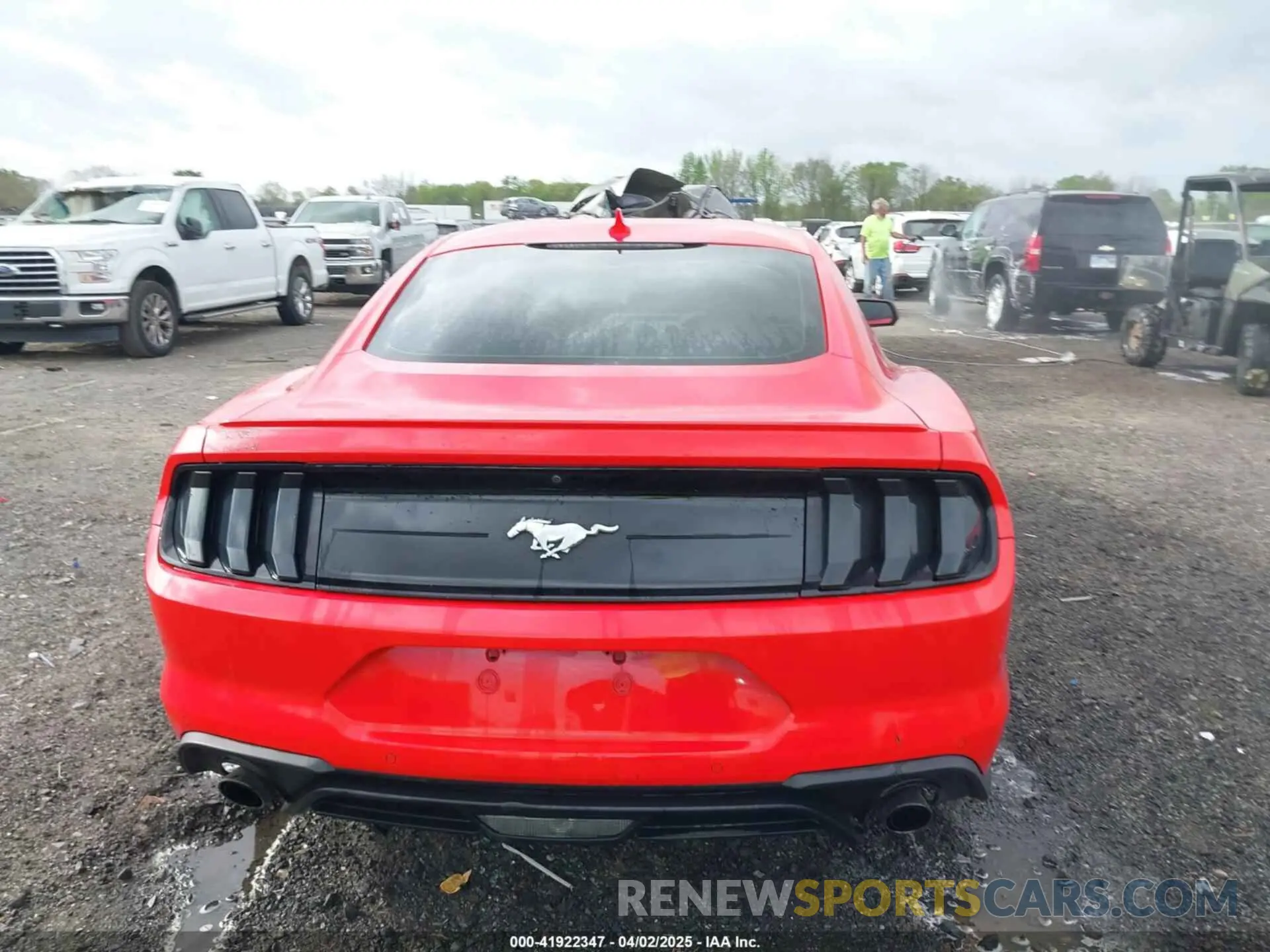 16 fotografías del automóvil dañado 1FA6P8TH4N5102519 FORD MUSTANG 2022