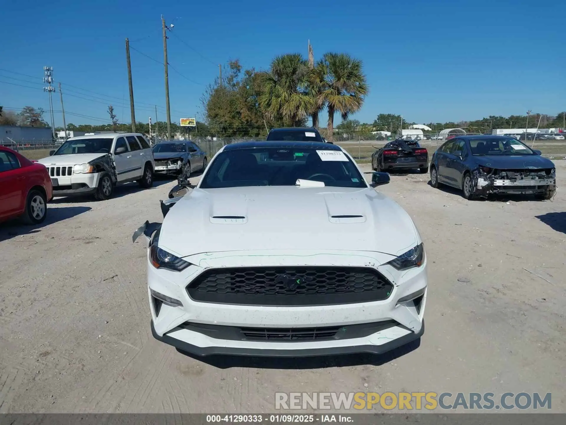 12 fotografías del automóvil dañado 1FA6P8TH5N5139871 FORD MUSTANG 2022