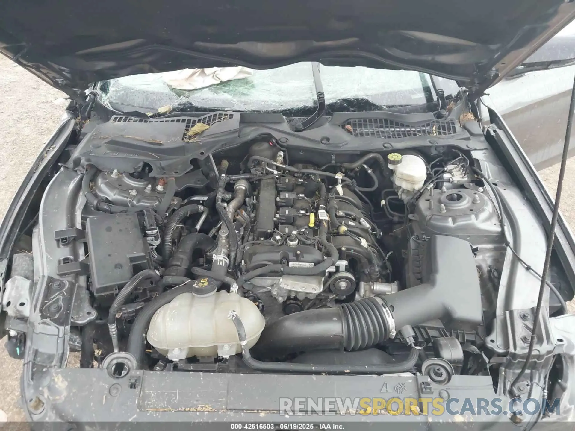 10 fotografías del automóvil dañado 1FA6P8TH5N5150143 FORD MUSTANG 2022