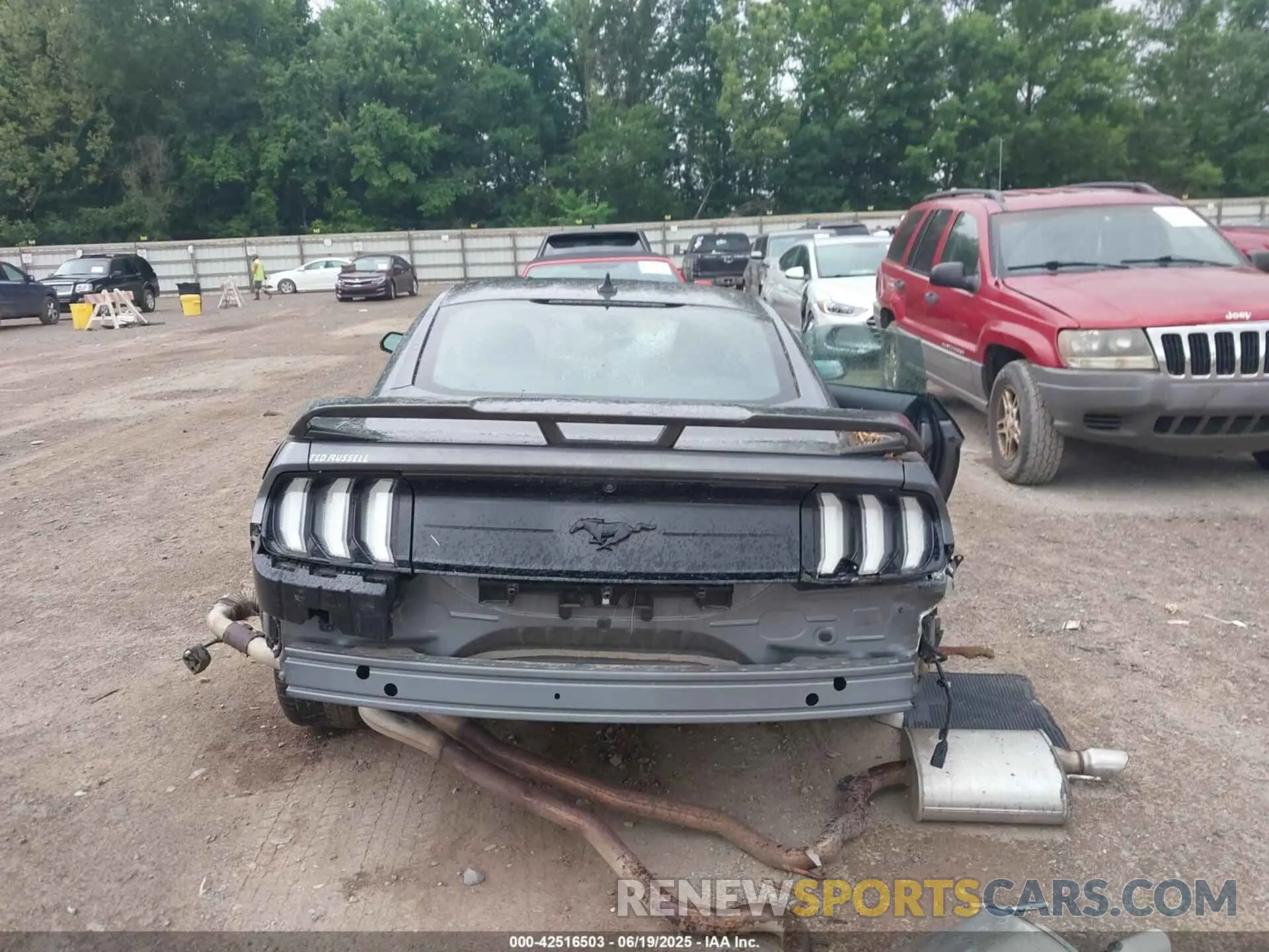 16 fotografías del automóvil dañado 1FA6P8TH5N5150143 FORD MUSTANG 2022