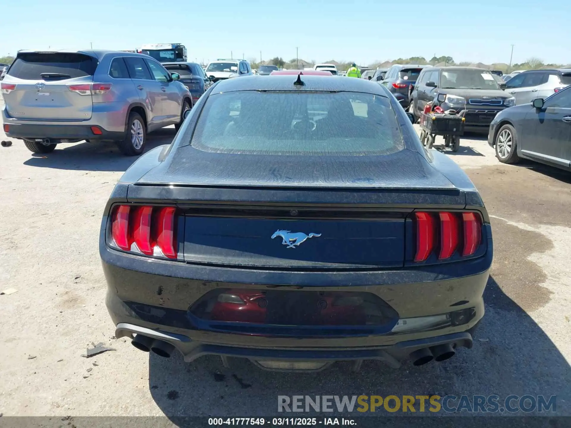 16 fotografías del automóvil dañado 1FA6P8TH8N5140335 FORD MUSTANG 2022