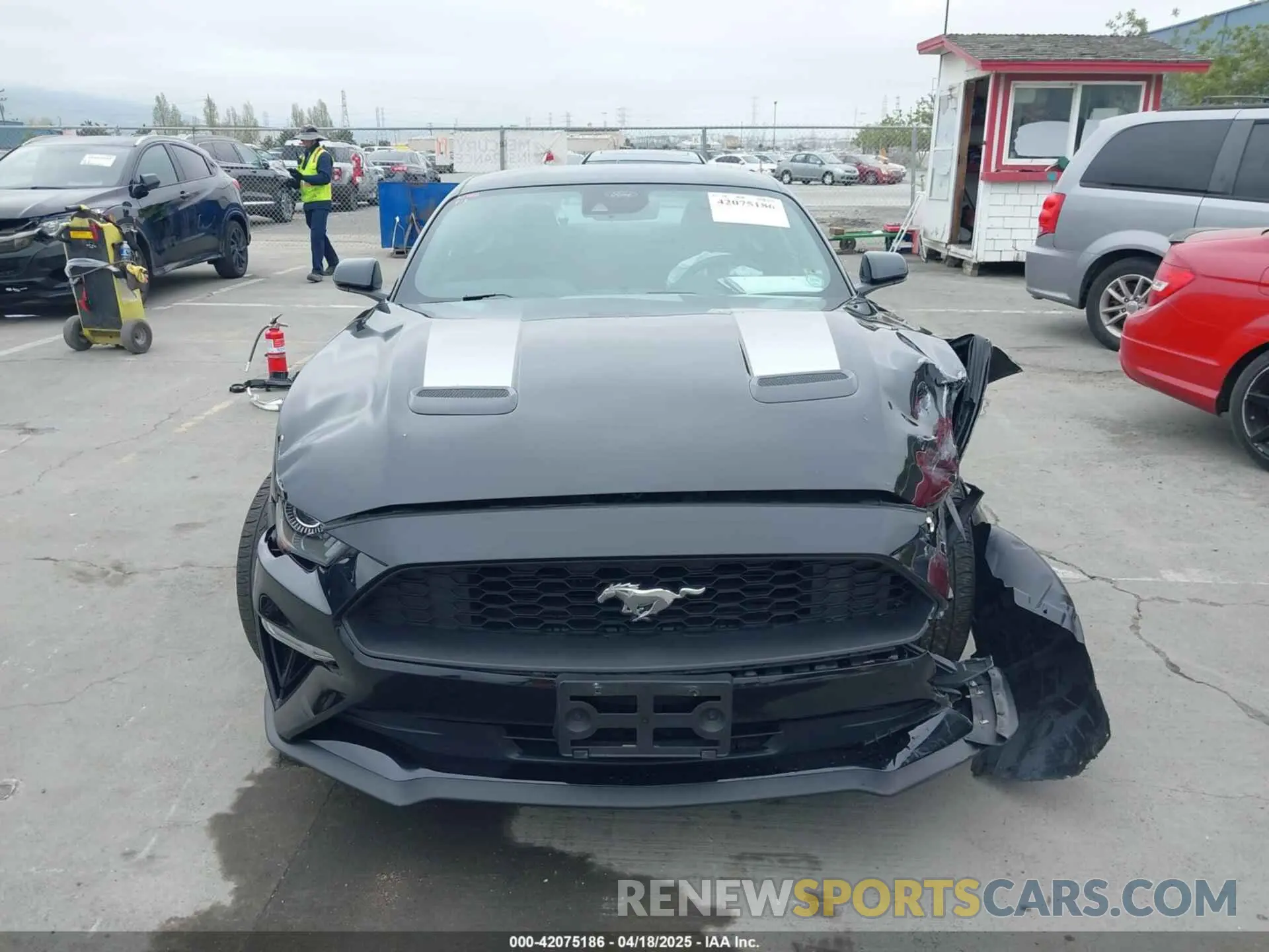 13 fotografías del automóvil dañado 1FA6P8THXN5145312 FORD MUSTANG 2022