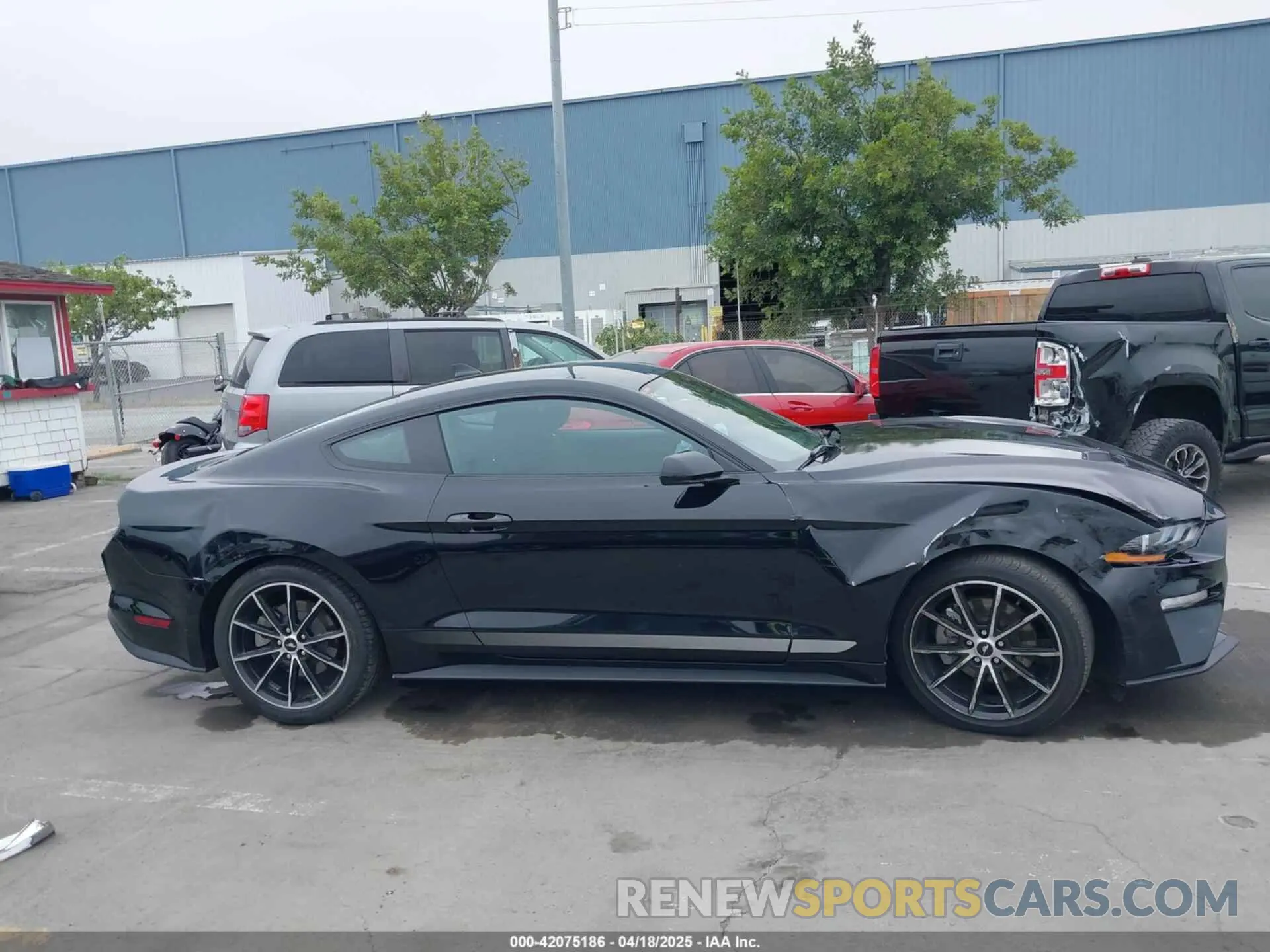 14 fotografías del automóvil dañado 1FA6P8THXN5145312 FORD MUSTANG 2022