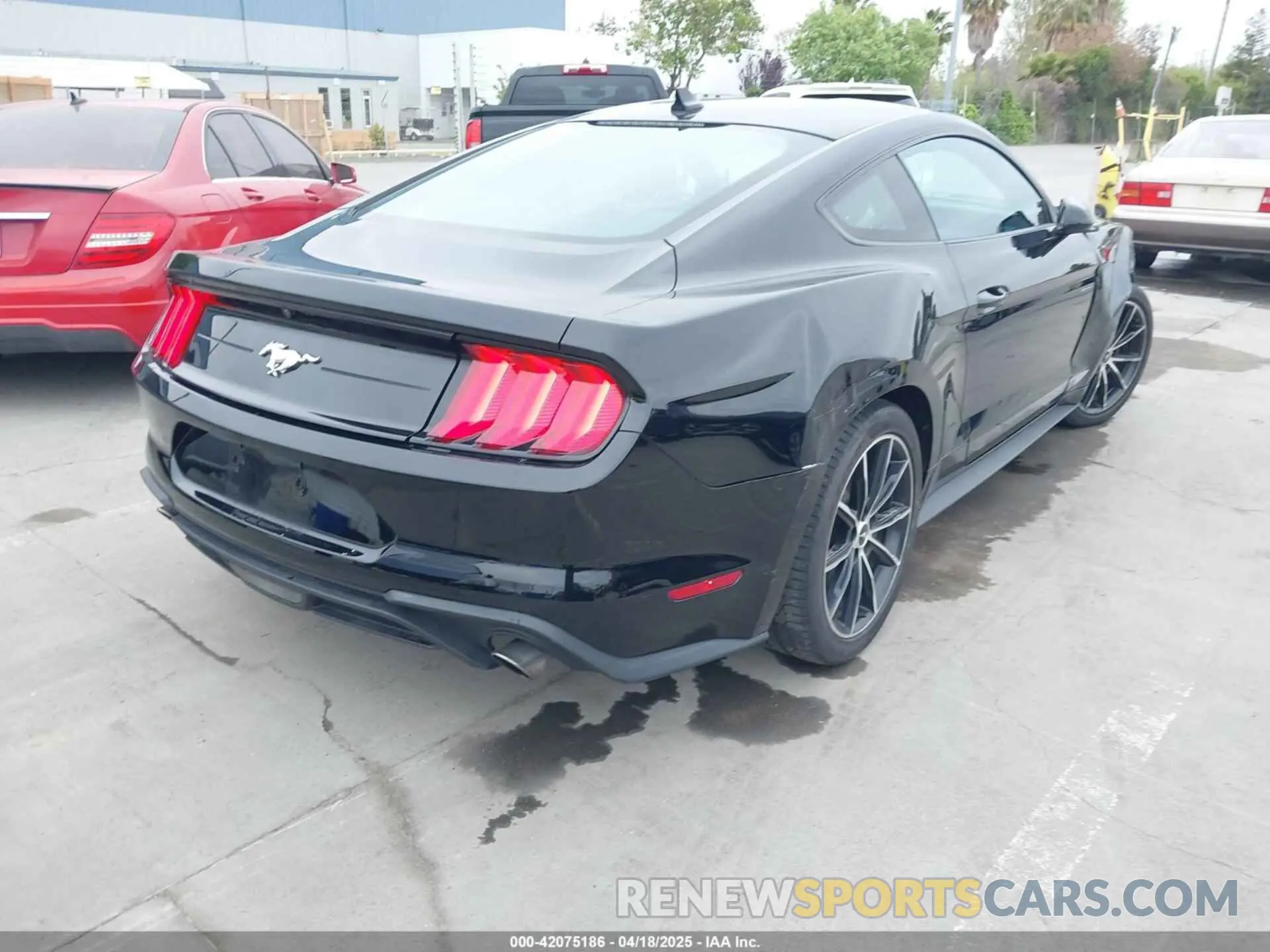 18 fotografías del automóvil dañado 1FA6P8THXN5145312 FORD MUSTANG 2022