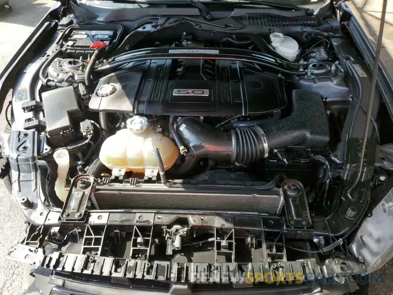 11 fotografías del automóvil dañado 1FATP8FF1N5117251 FORD MUSTANG 2022