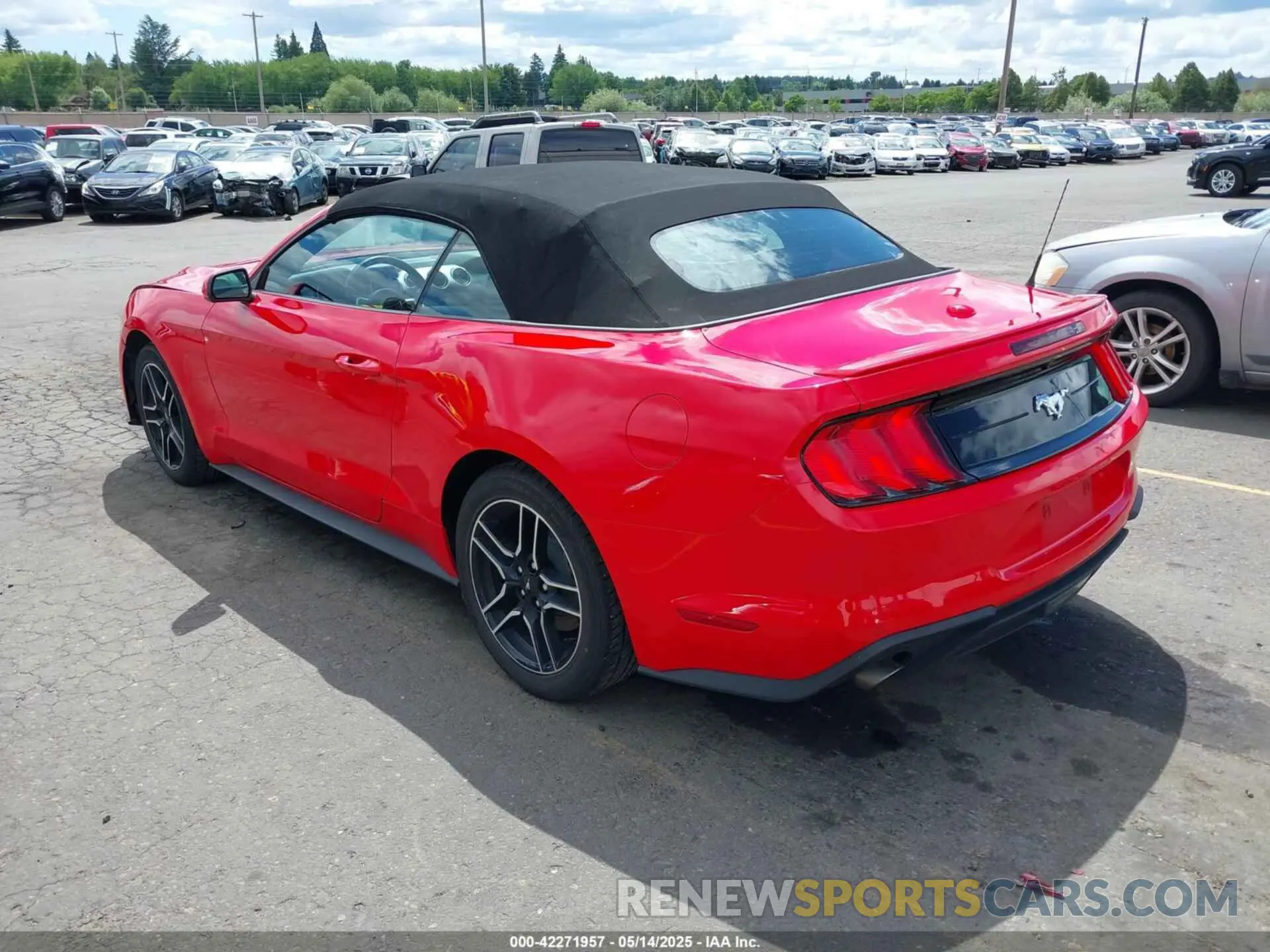 3 fotografías del automóvil dañado 1FATP8UH2N5124679 FORD MUSTANG 2022