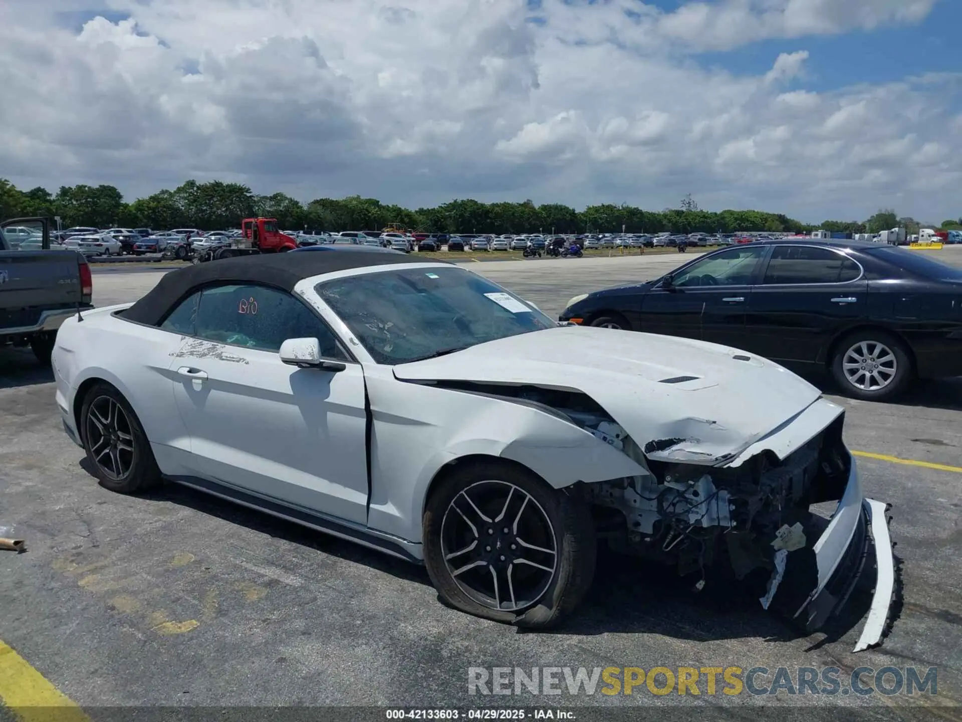 1 fotografías del automóvil dañado 1FATP8UH6N5106301 FORD MUSTANG 2022