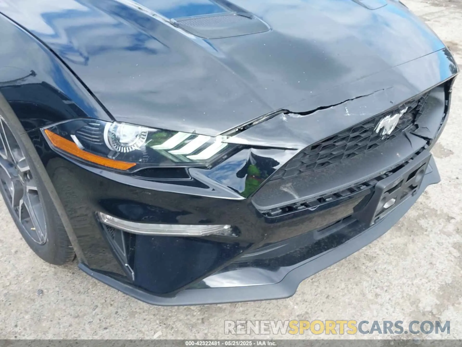 6 fotografías del automóvil dañado 1FATP8UH7N5124631 FORD MUSTANG 2022