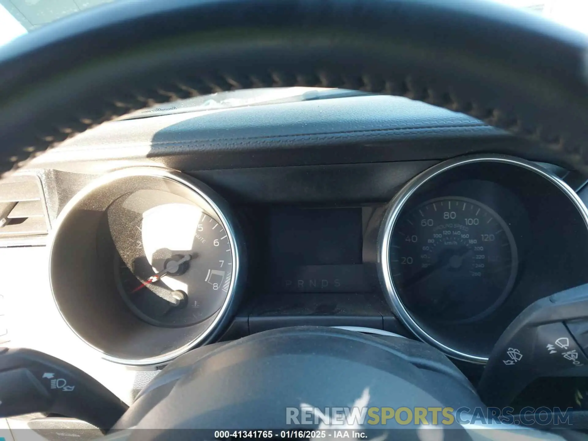 16 fotografías del automóvil dañado 1FA6P8CF4P5306853 FORD MUSTANG 2023