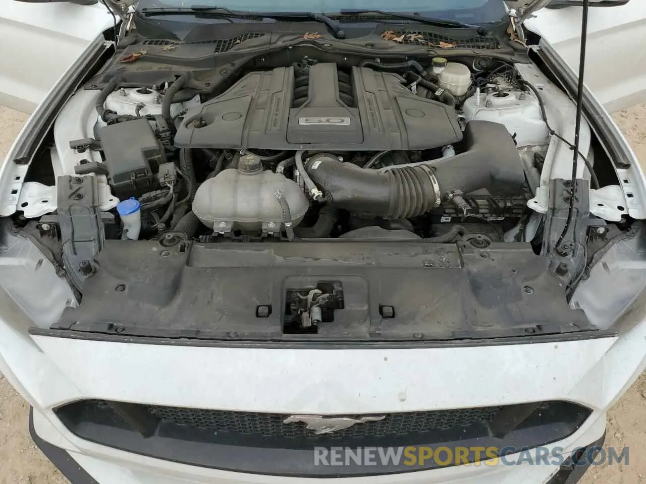 13 fotografías del automóvil dañado 1FA6P8CF5P5303895 FORD MUSTANG 2023