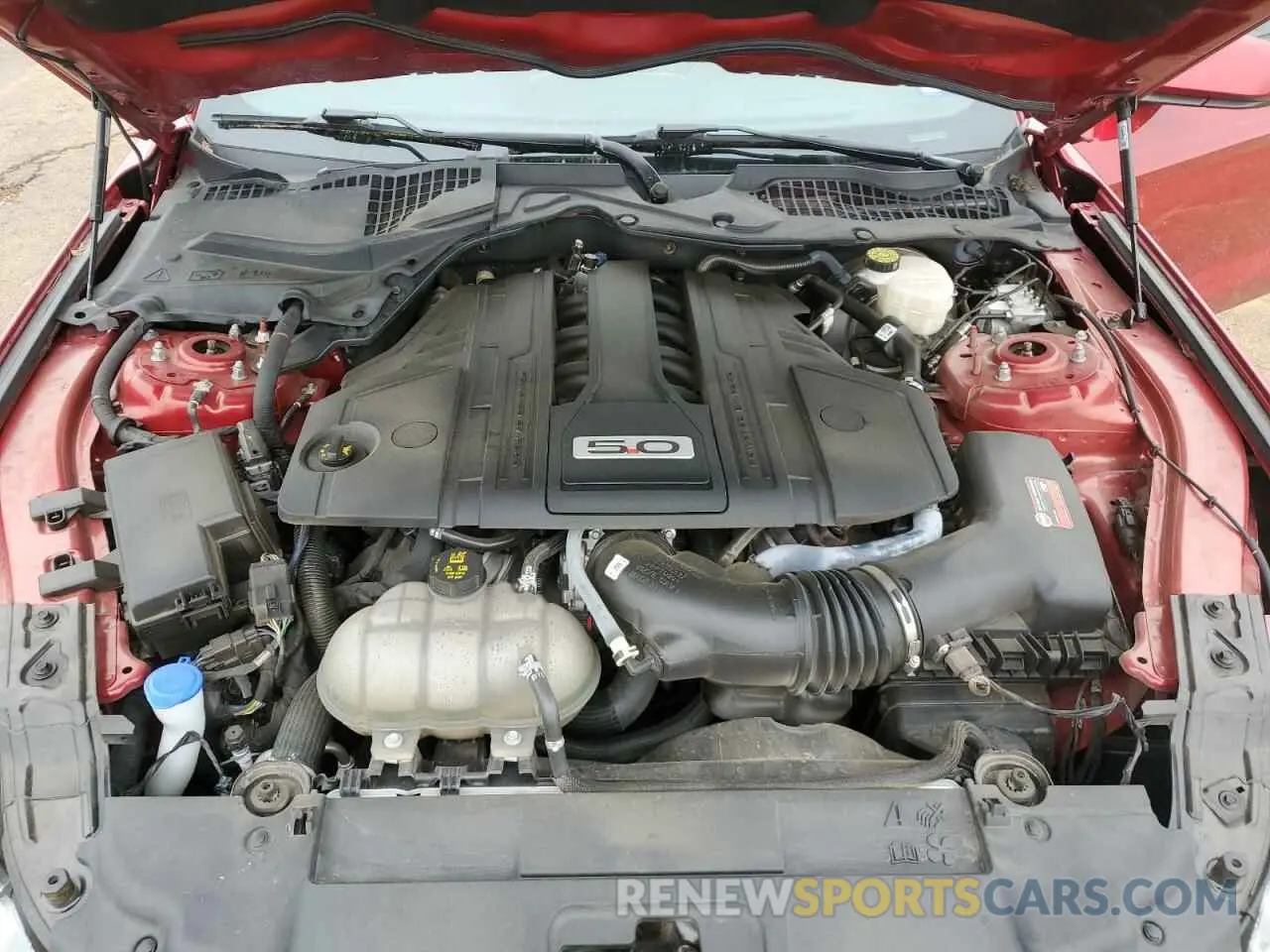 11 fotografías del automóvil dañado 1FA6P8CF8P5303261 FORD MUSTANG 2023