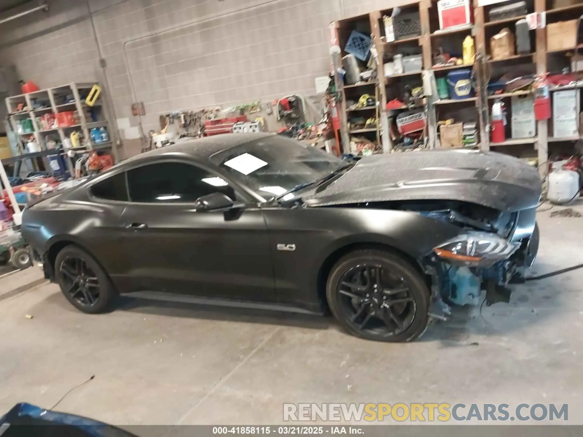 14 fotografías del automóvil dañado 1FA6P8CF8P5305334 FORD MUSTANG 2023
