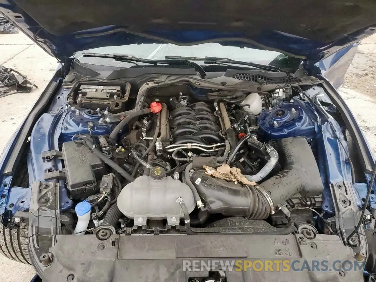 11 fotografías del automóvil dañado 1FA6P8CF9P5301583 FORD MUSTANG 2023